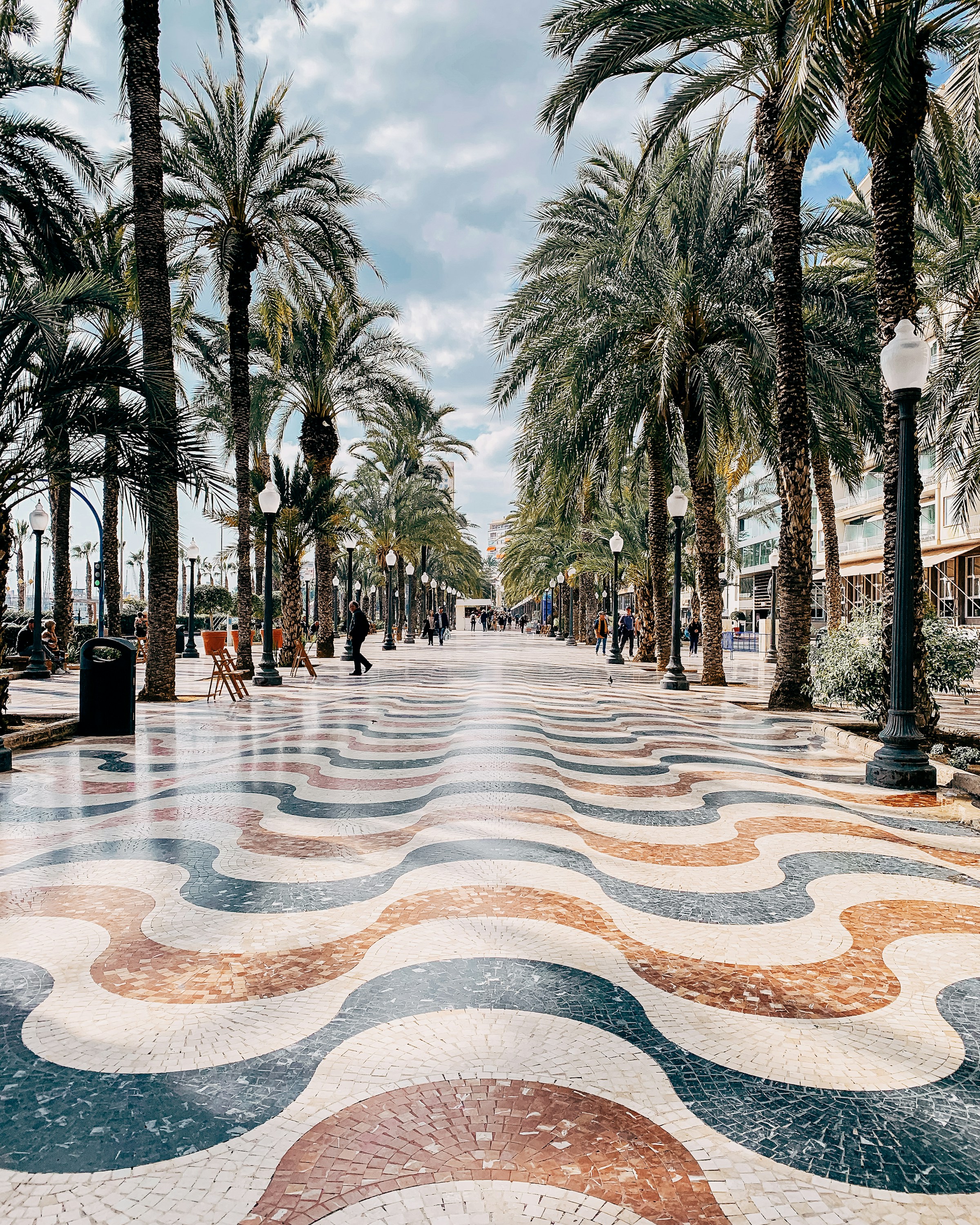 Promenad med mönstrade trottoarplattor omgiven av palmer på en solig dag i Alicante