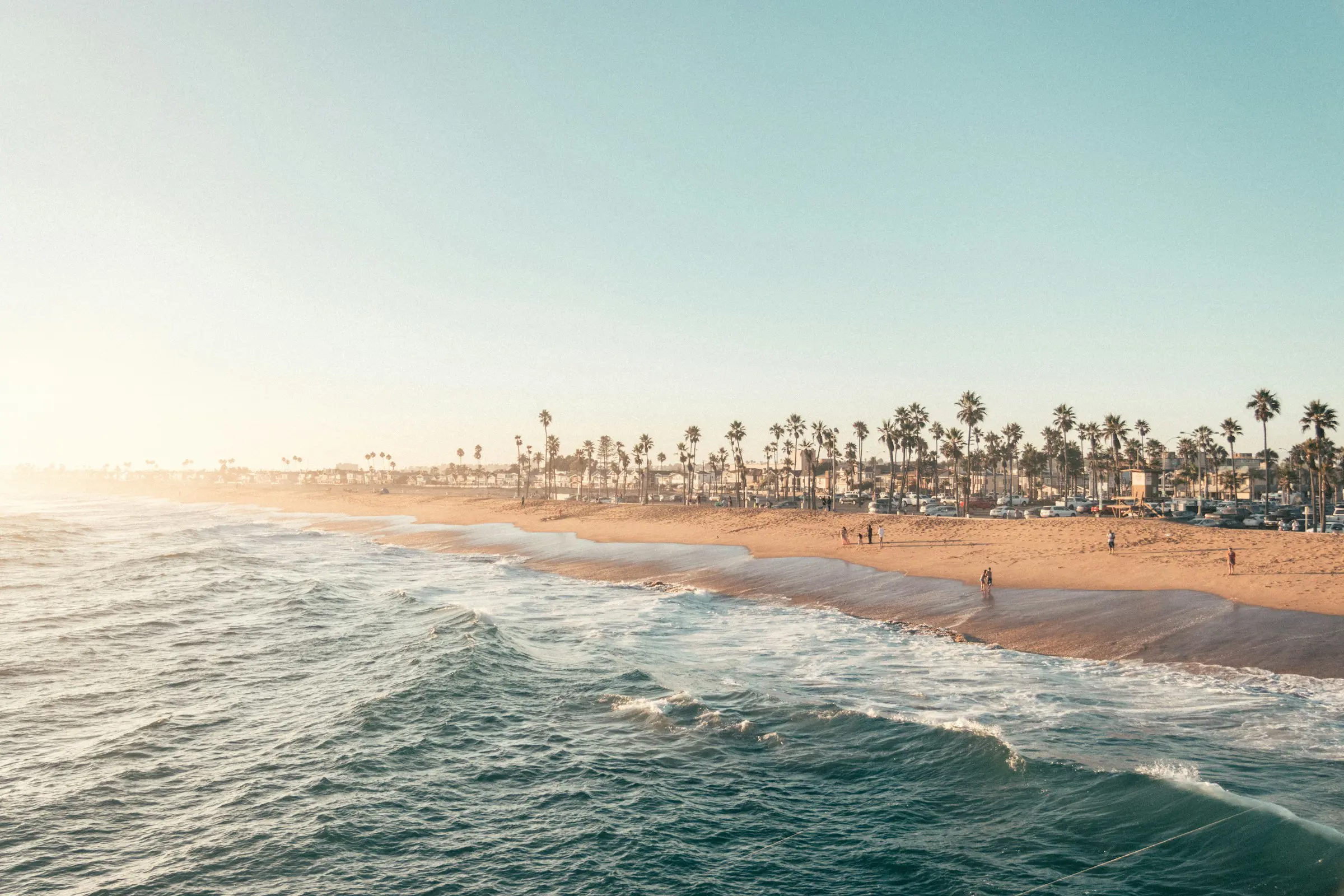 Sunny beach with ocean waves and palm trees, capturing Newport Beach shoreline.