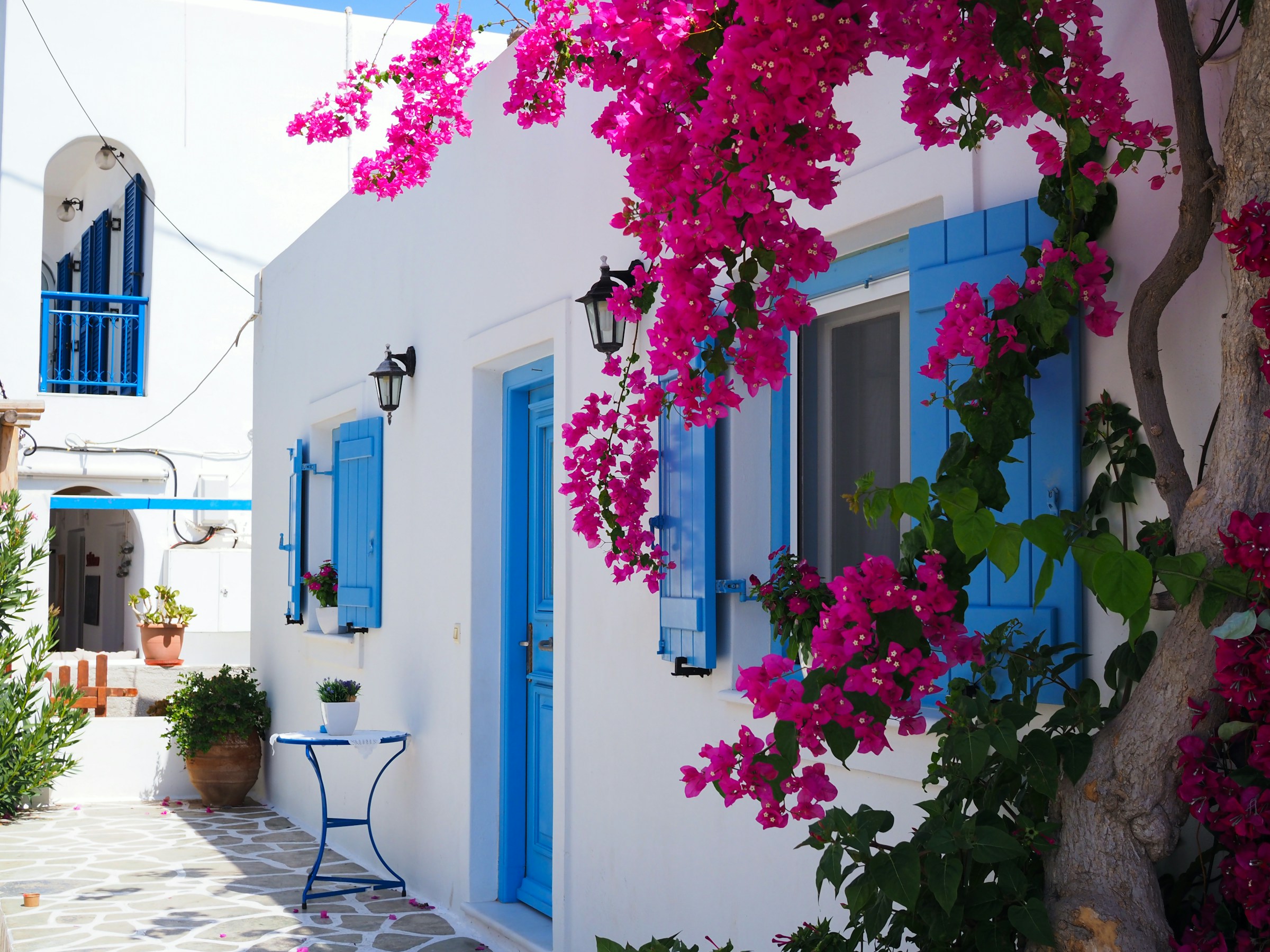 Vit medelhavsstil husfasad med blå fönsterluckor och rosa blommor på Mykonos i Grekland