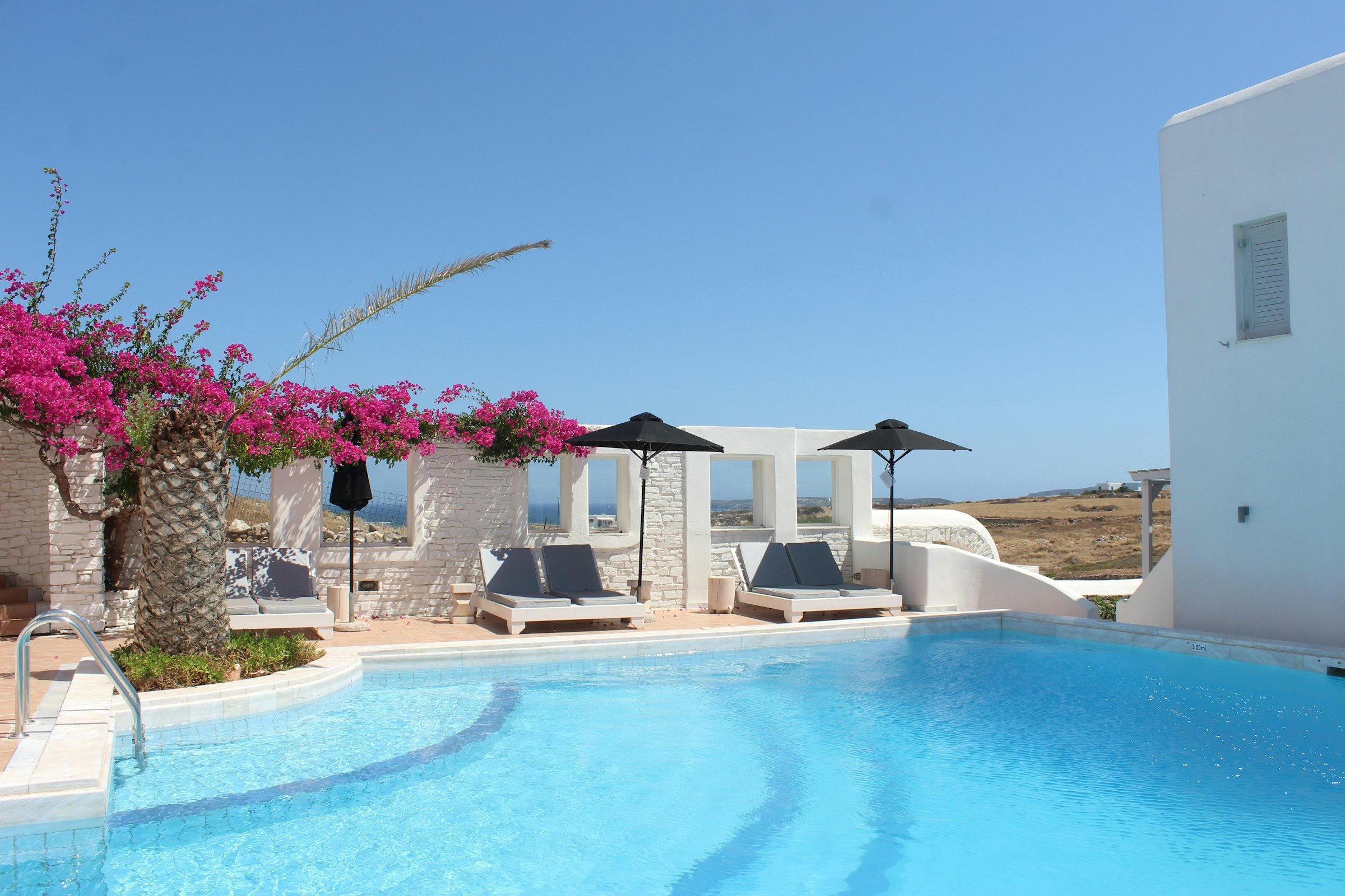 Vit byggnad med blå pool och rosa blommer avlägset på ön Paros