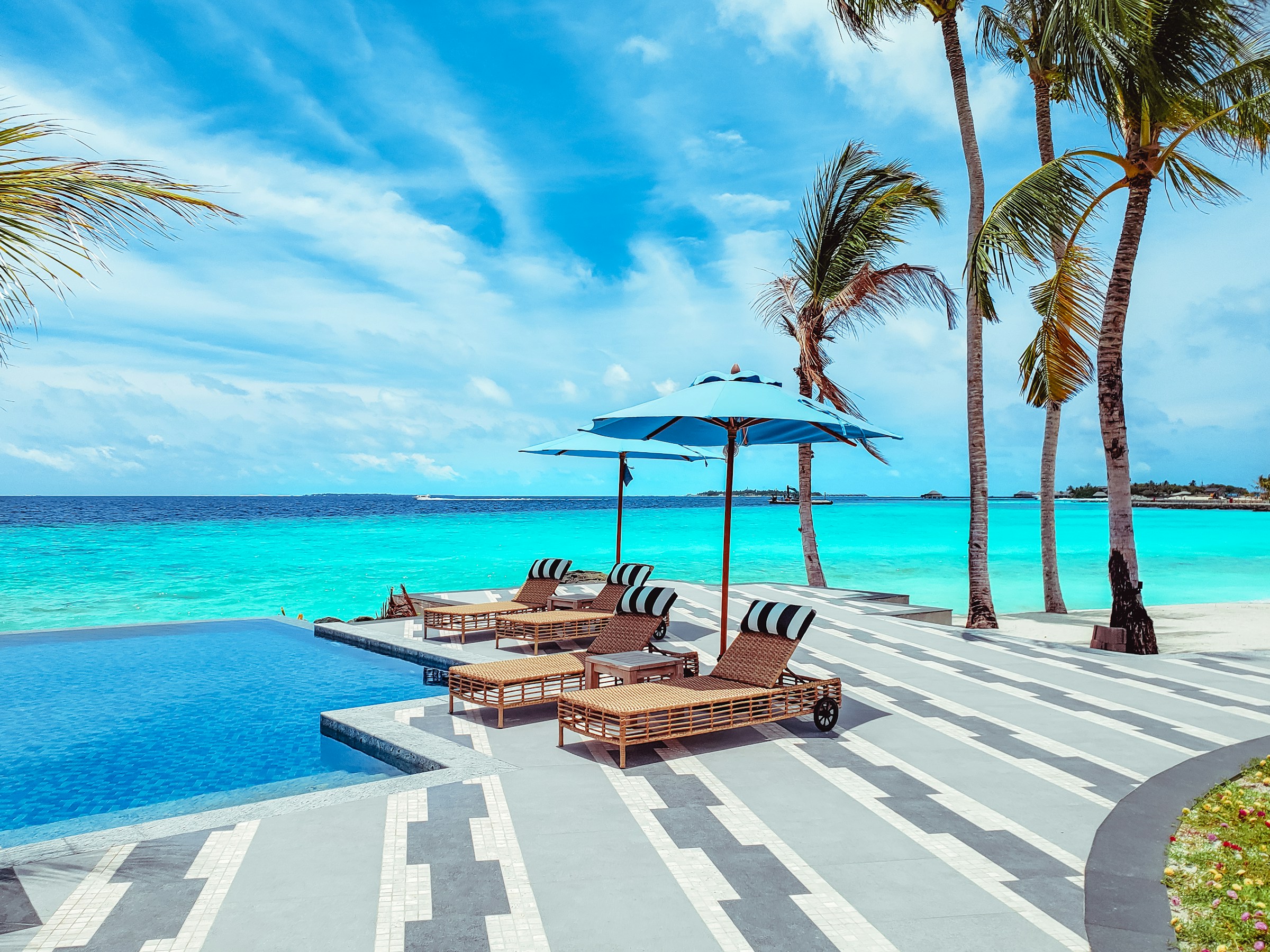 Resa och tips på resmål - Solstolar vid pool med hav och palmträd i bakgrunden