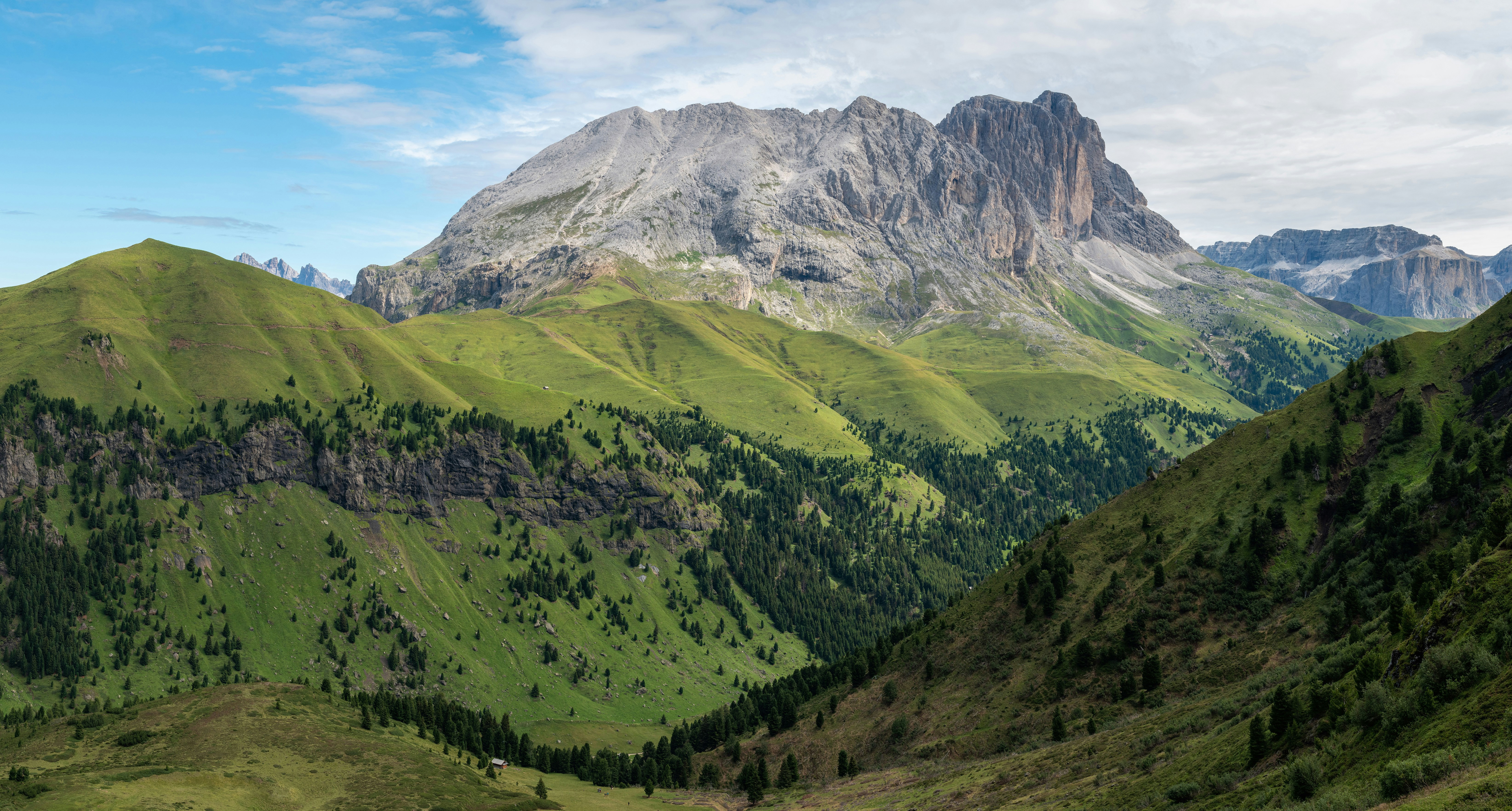 Greenery and trees up against mountains in the background in the Alps