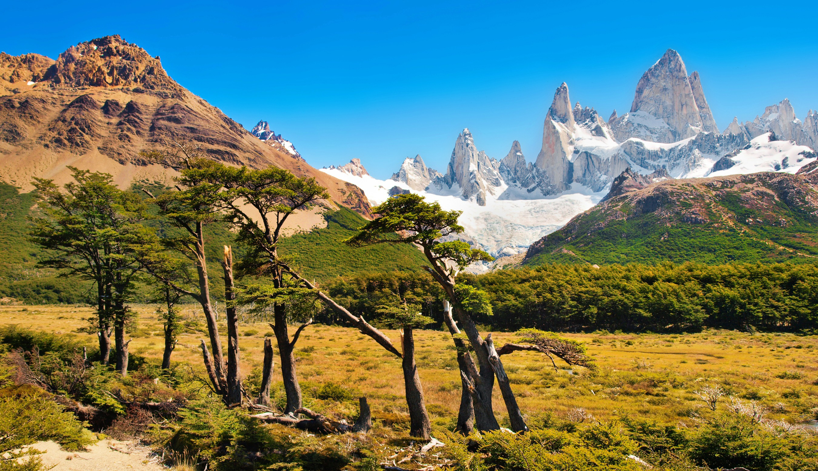 Resa till Argentina - Majestätiska bergstoppar i Fitz Roy, Patagonien, med frodig grönska och klart blå himmel.