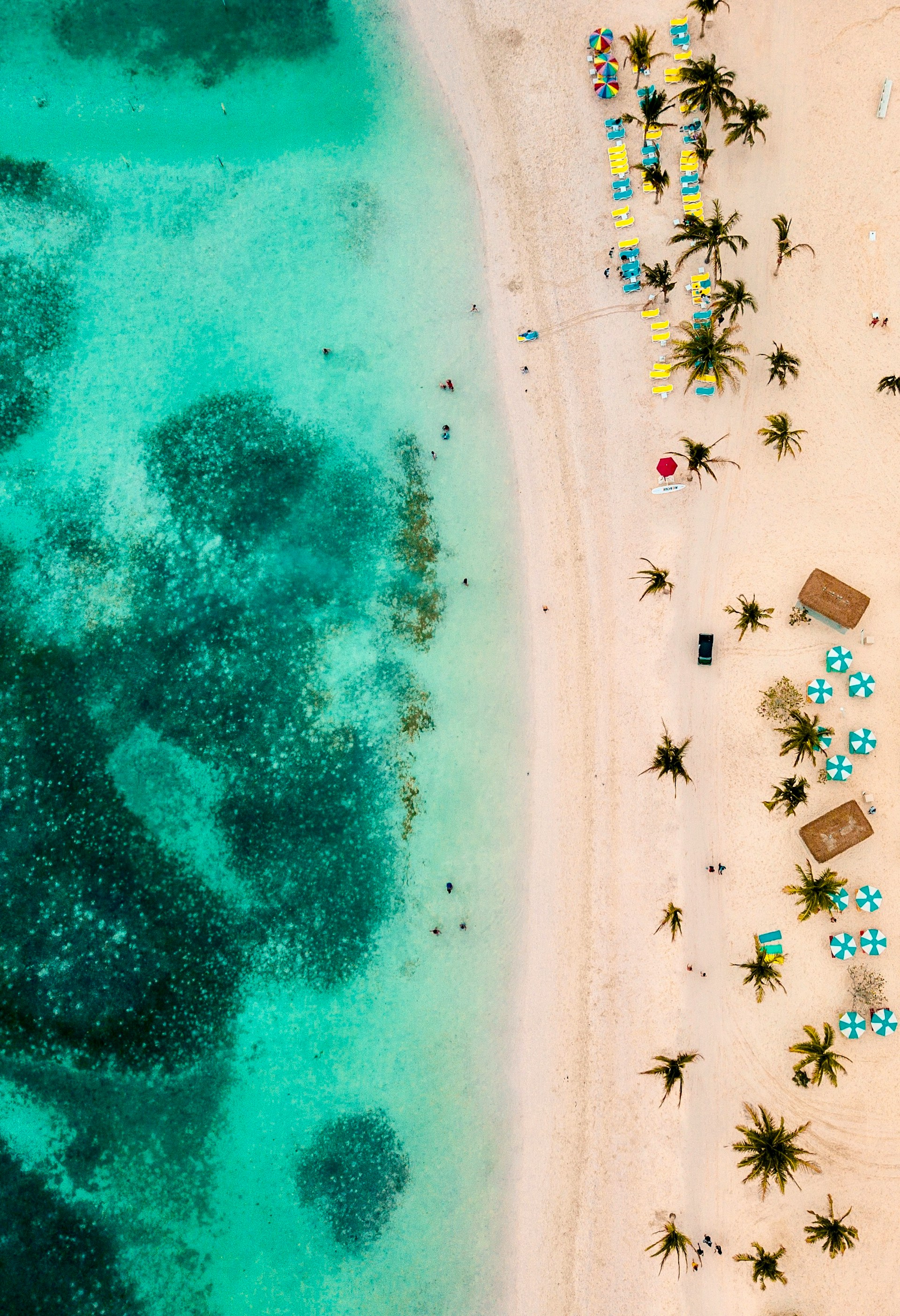 Flygfoto av en tropisk strand med turkost vatten, palmer och solstolar på en sandig strand i Bahamas.