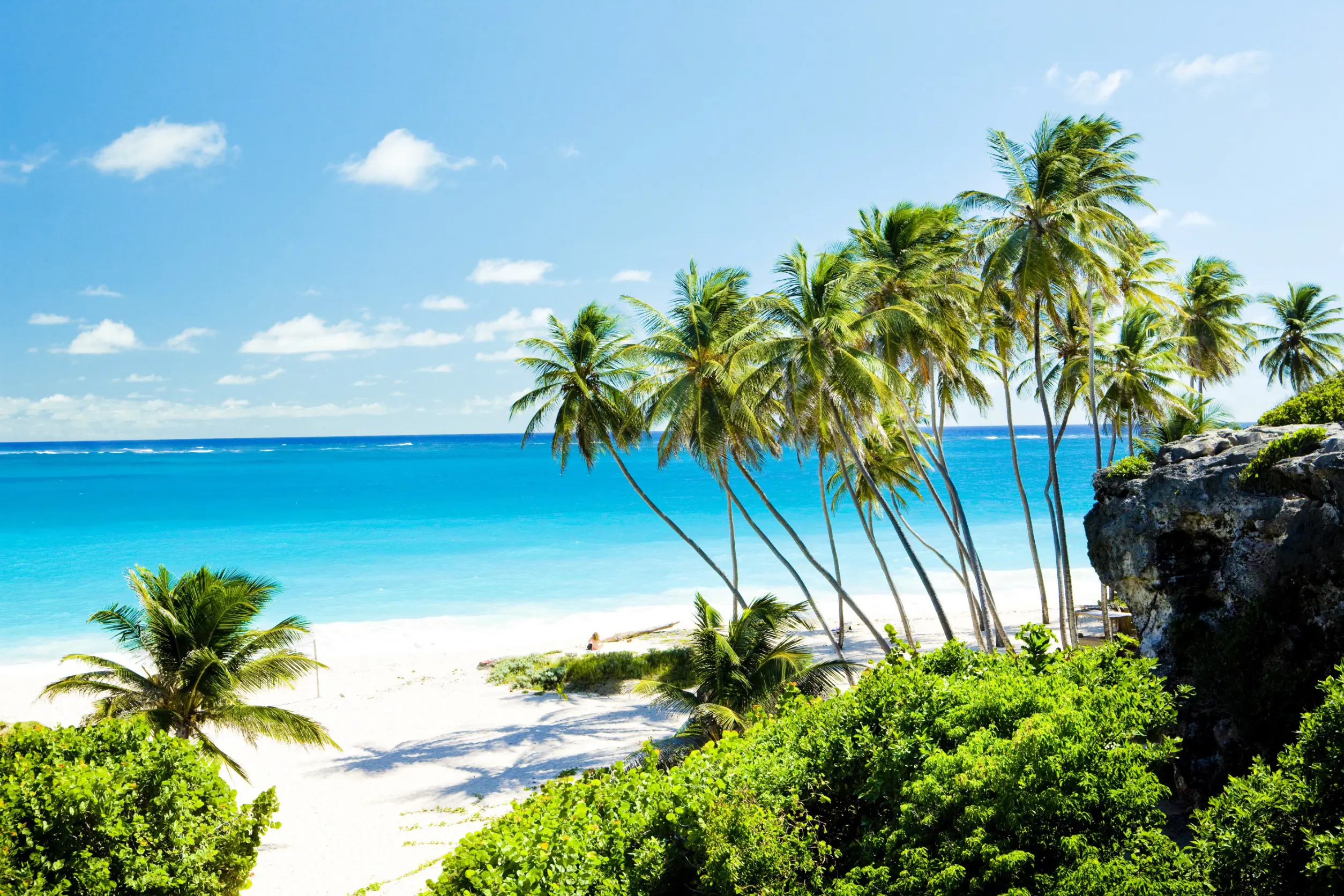 Resa till Barbados - Tropisk strand med palmer och kristallklart hav i solsken.