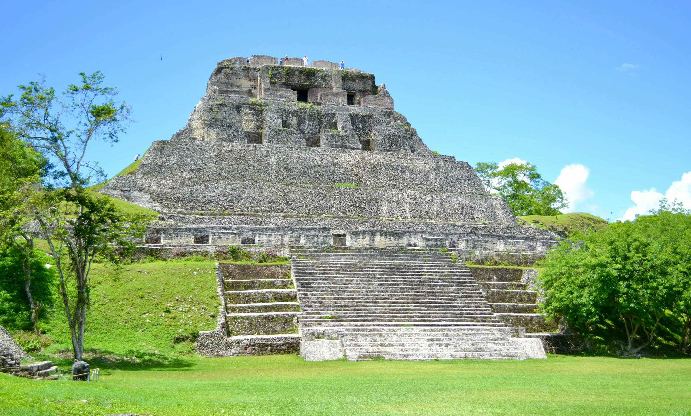 Majestätisk Maya-pyramid omgiven av grönska under en klarblå himmel i Belize.