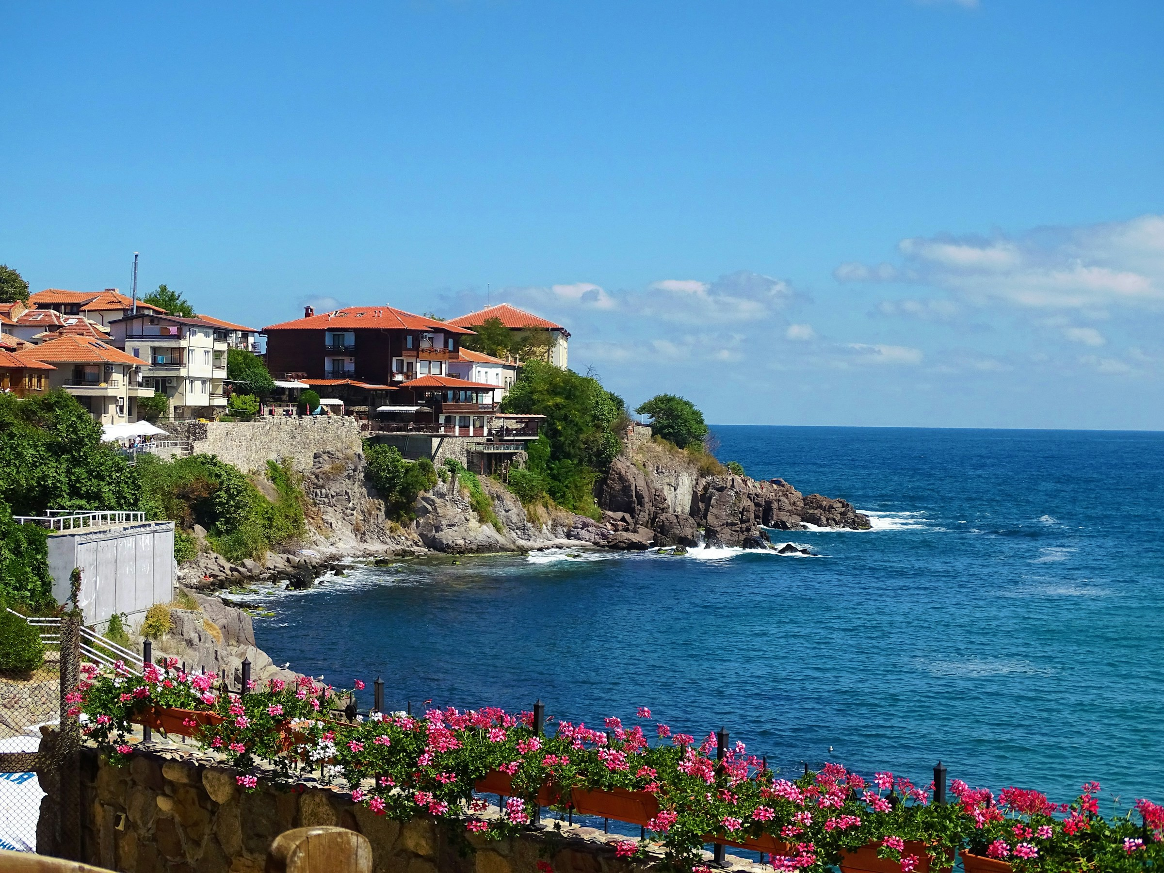 Pittoreskt kustnära landskap med traditionella röda takhus vid klippig udde omgiven av blått hav och blommande rosa pelargoner i förgrunden, under en klarblå himmel i Bulgarien.