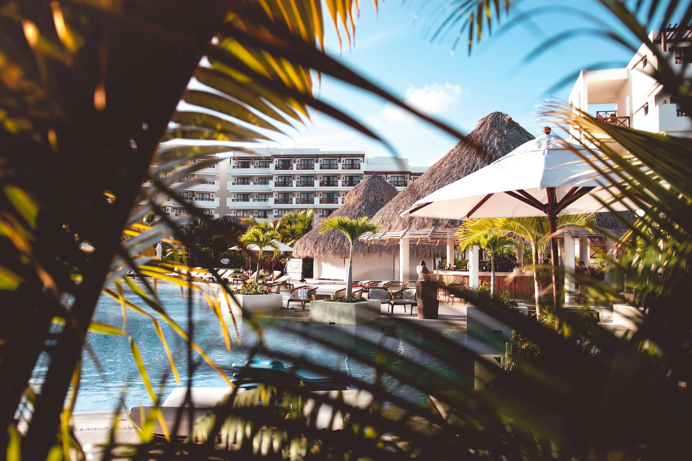 Tropiskt resort med pool, solstolar och palmblad i förgrunden, vita hotellbyggnader i bakgrunden i Punta Cana.