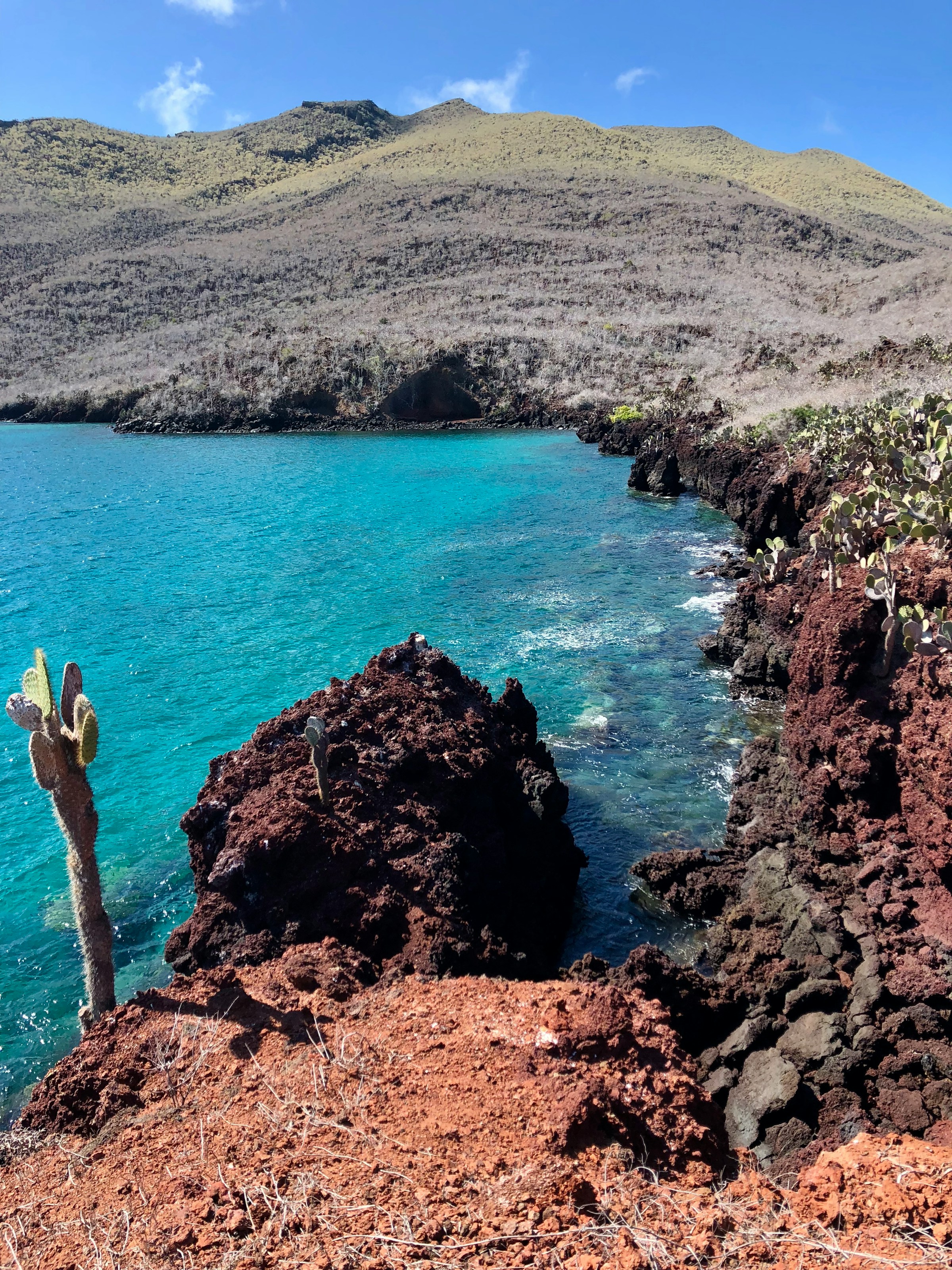 Turkost vatten omgivet av röda lavaklippor med en kaktus på Galapagosöarna.
