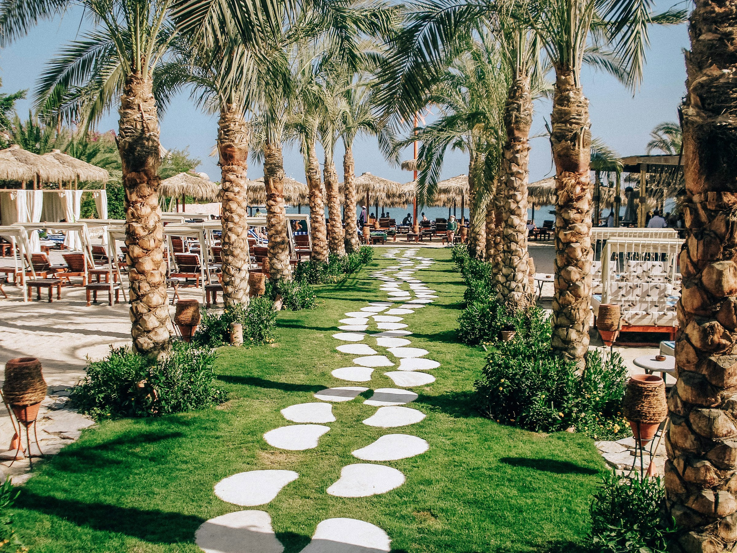 Stig av stenplattor genom grönt gräs omgivet av palmer på i ett soligt Hurghada.