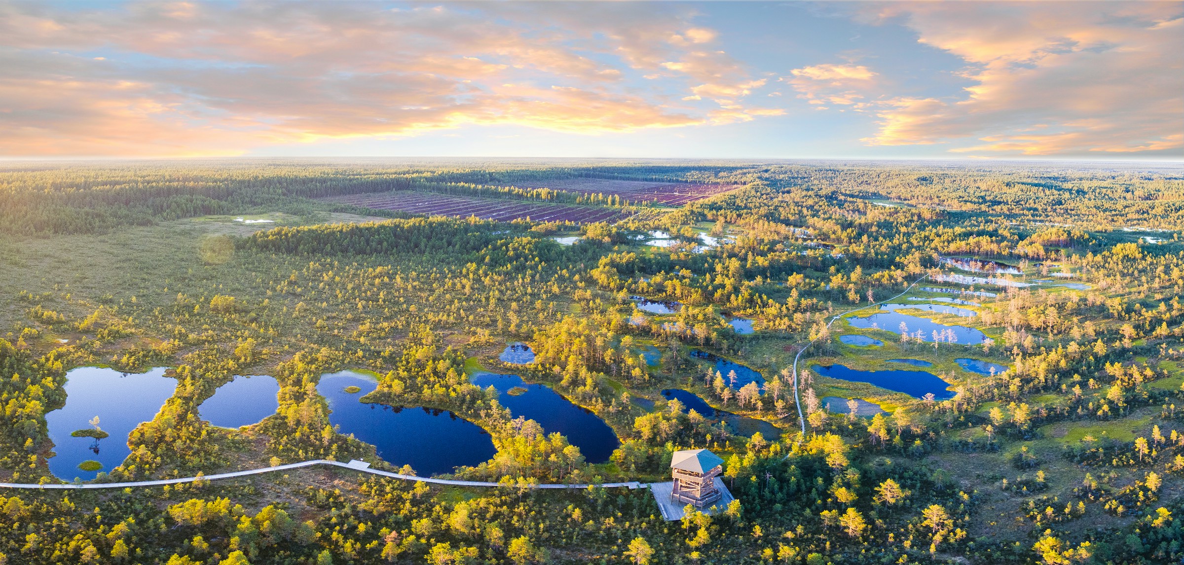 Panoramavy över en frodig skog vid solnedgång med flera sjöar i Estland.