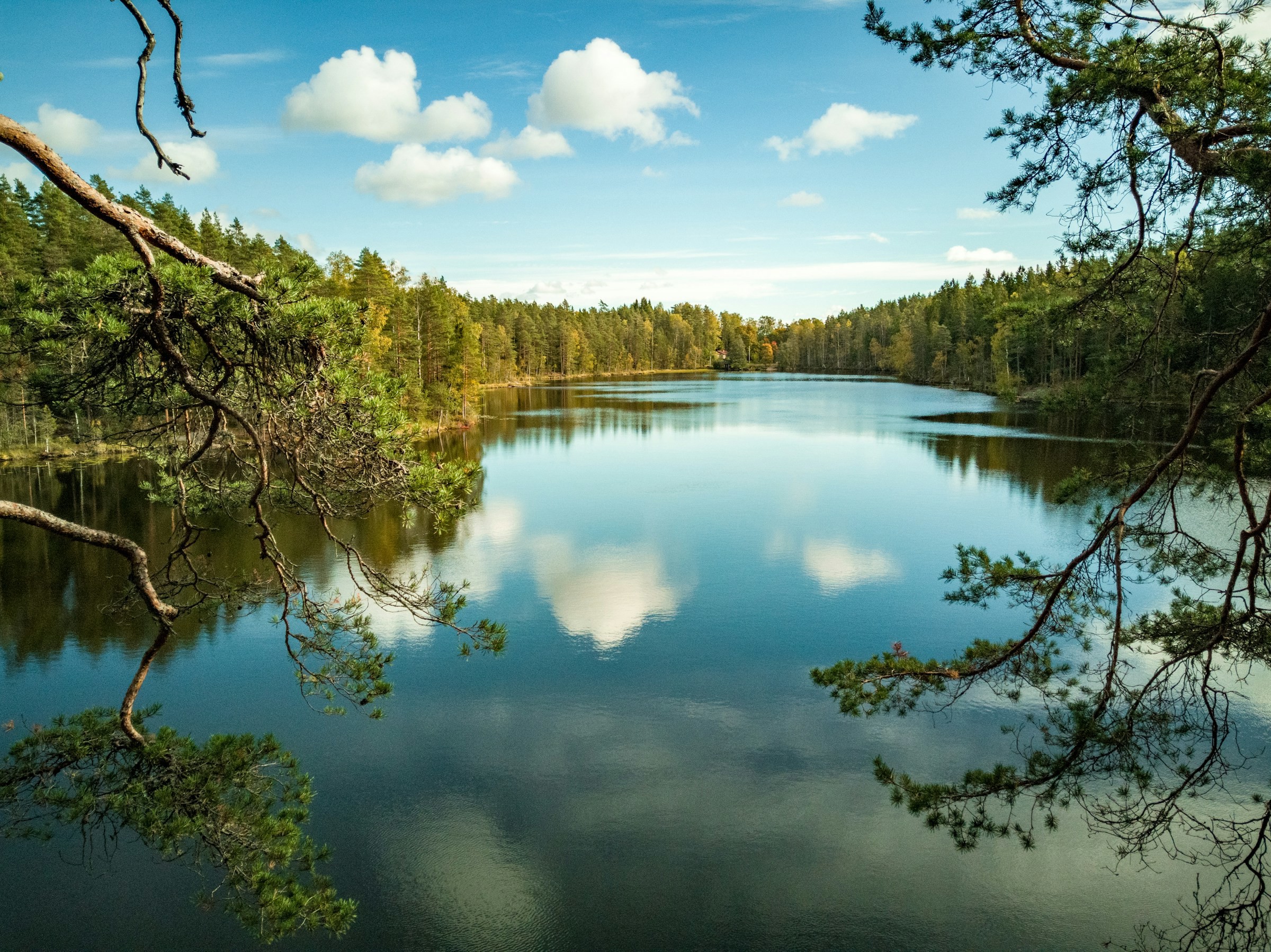 Fredfull sjöomgivning i FInland med spegelblankt vatten, omringad av gröna träd och blå himmel reflekterande i vattenytan.