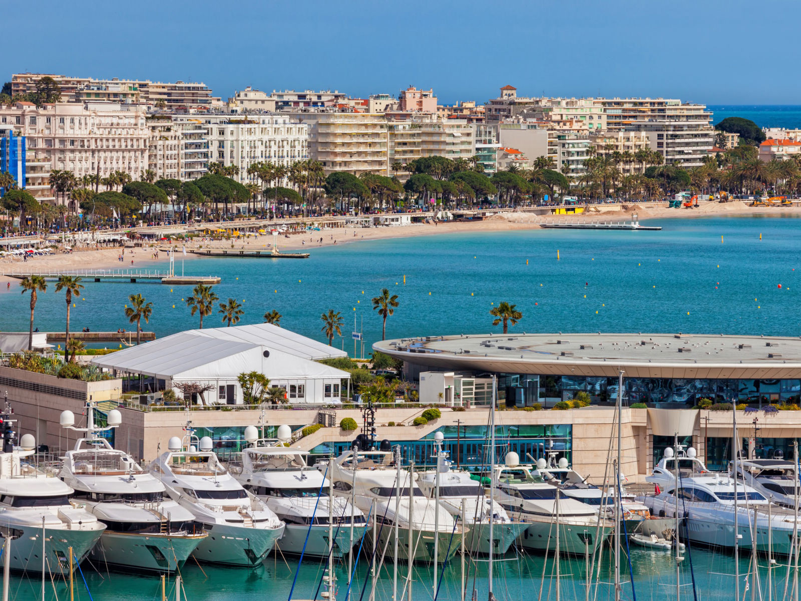 Resa till Cannes - Vy över en livlig marina med lyxbåtar förtöjda framför en sandstrand och en stadssilhuett med palmer och hotell i bakgrunden under en klarblå himmel.
