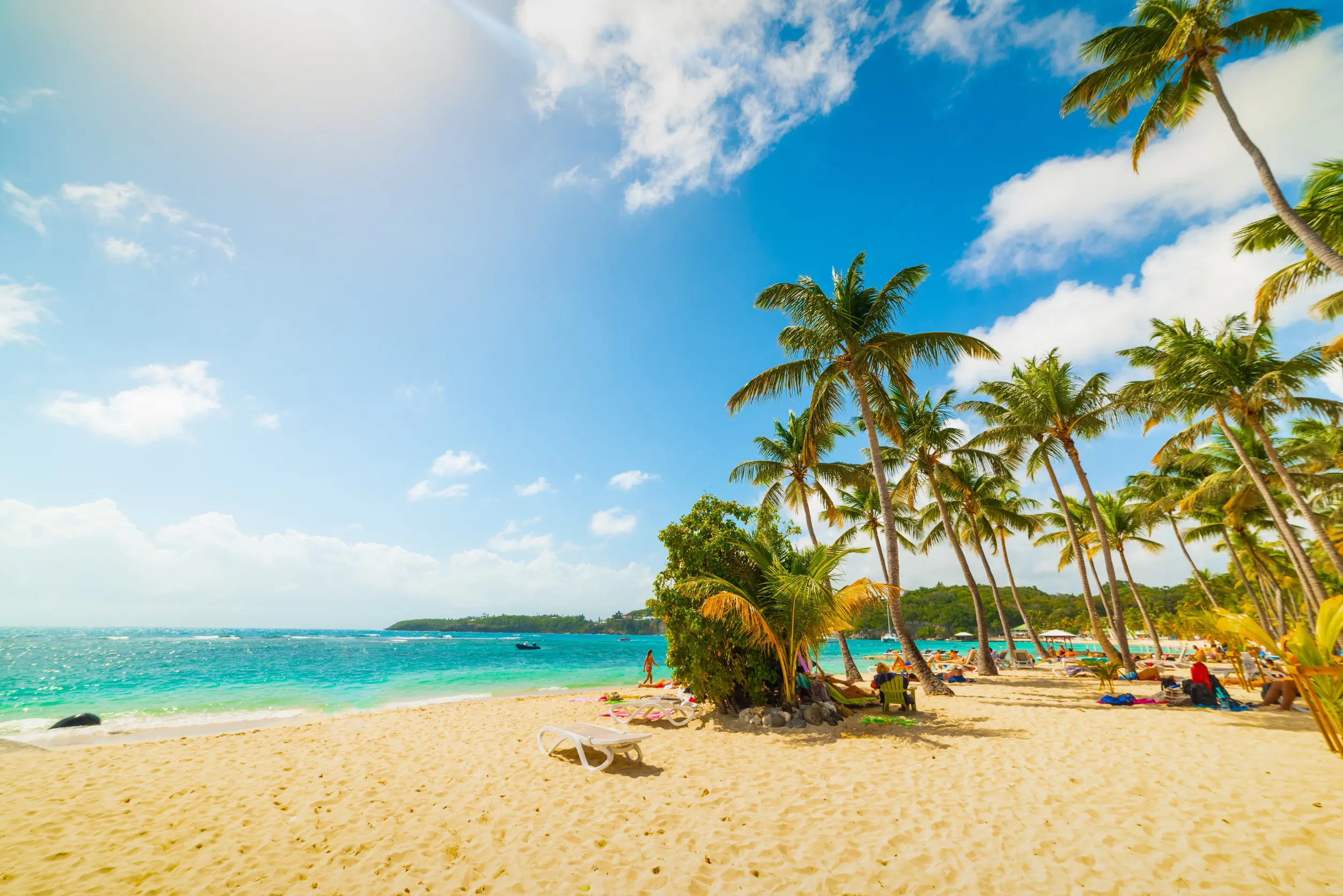 Resa till Guadeloupe - Idyllisk tropisk strand med höga palmer och kristallklart vatten på en solig dag,.