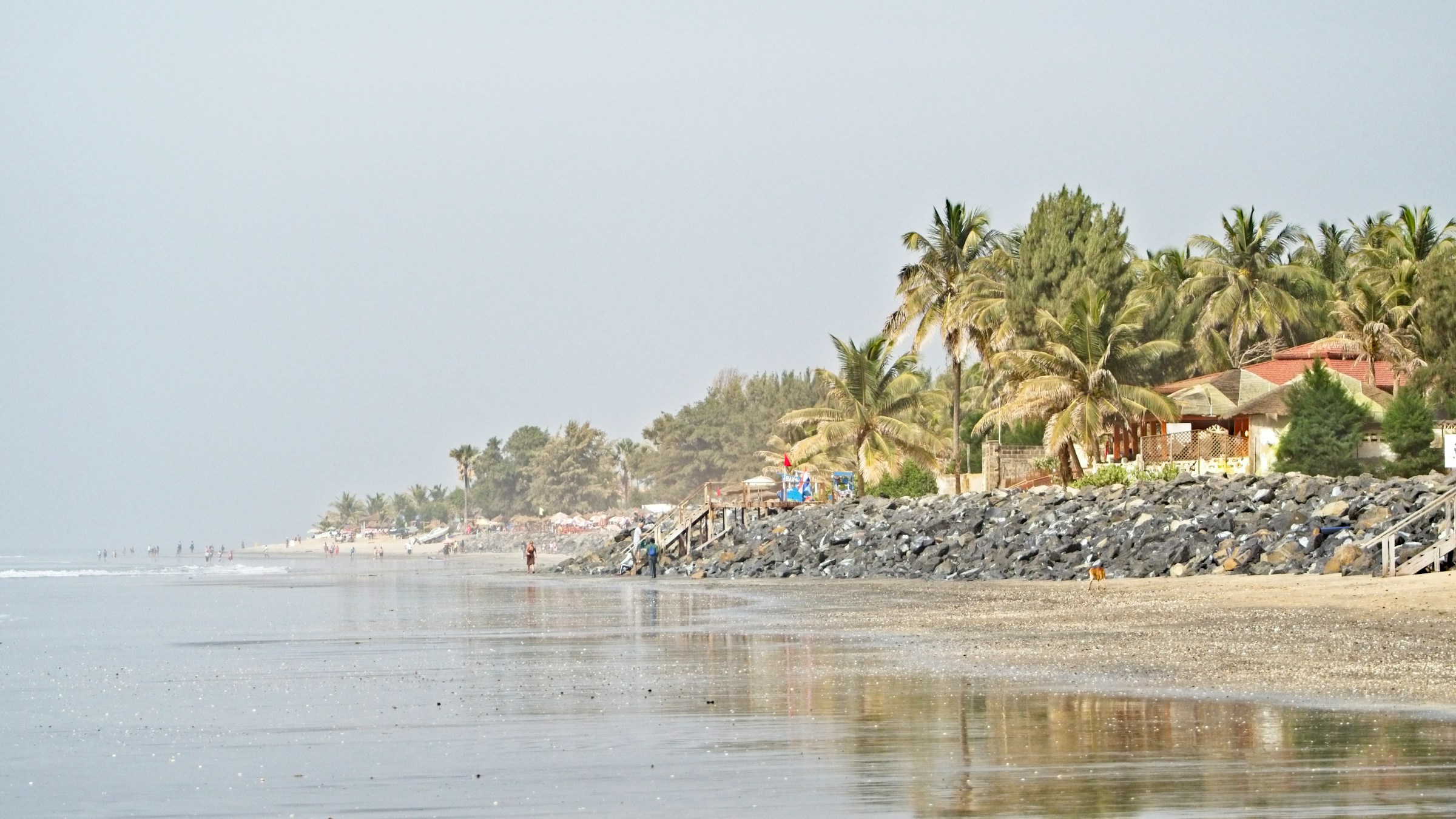 Långsträckt sandstrand med reflekterande våt sand, omgiven av palmer och en stenig strandkant, under en disig himmel i Gambia.