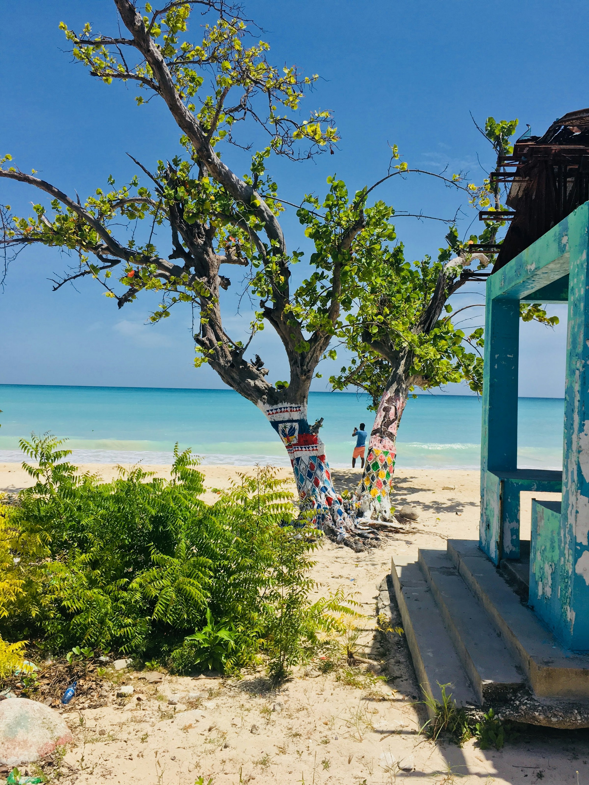Idyllisk strandvy med färgglada målade träd och en gammal blått målad struktur vid ett klarblått tropiskt hav i Haiti