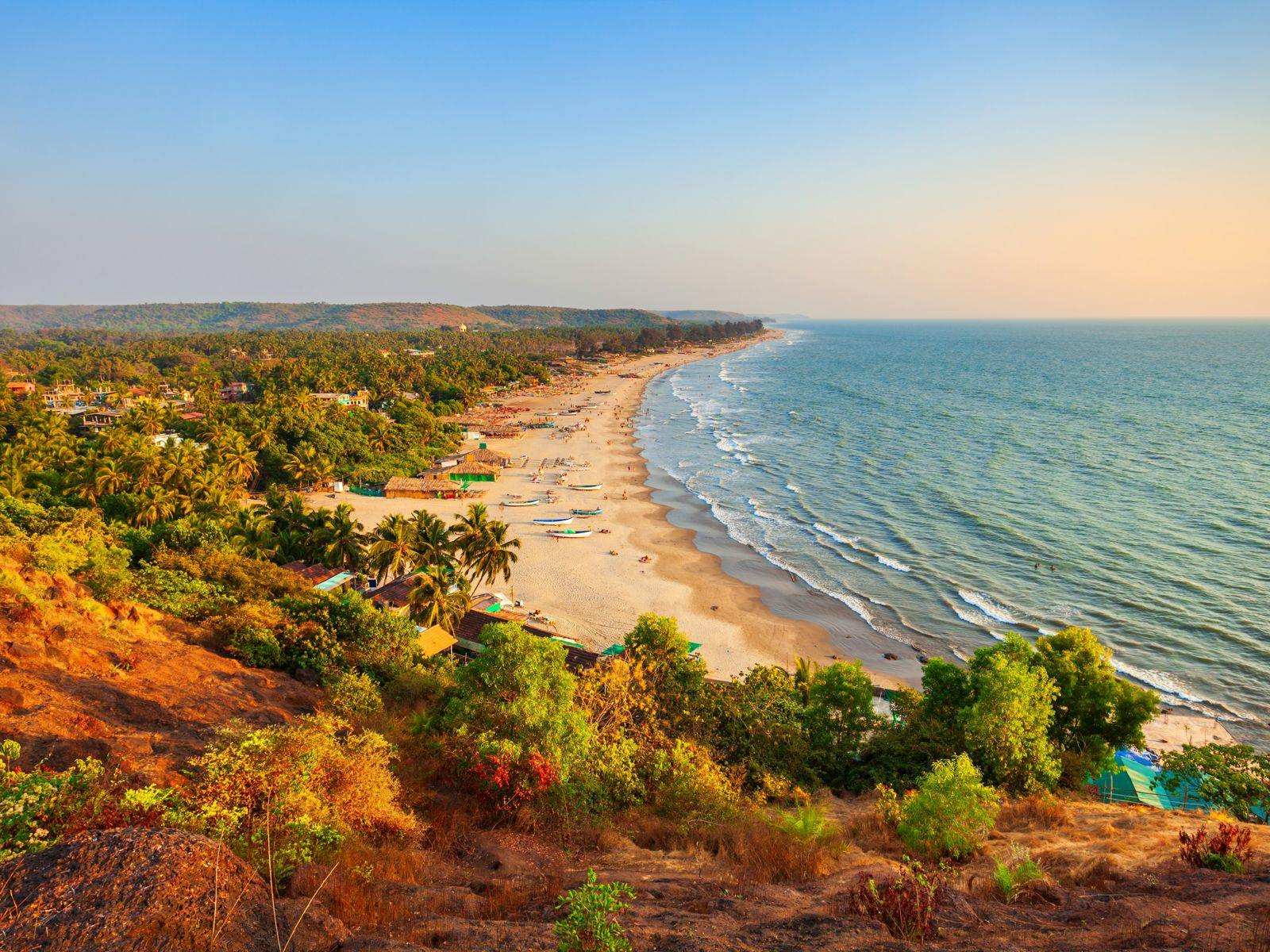 Resa till Goa - Panoramavy över en tropisk strand med böjda kokospalmer och färgglada båtar längs vattenlinjen vid solnedgången.