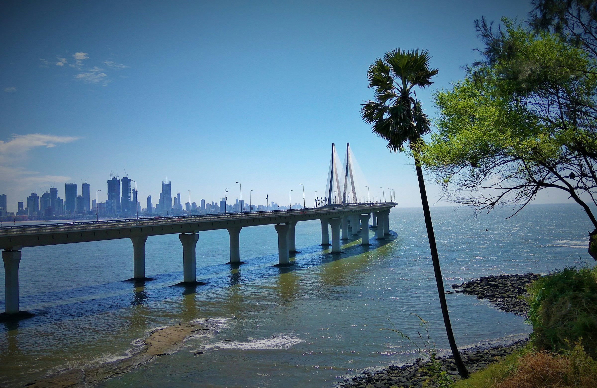 Long bridge spanning the water with Mumbai's city skyline in the background and greenery in the foreground.