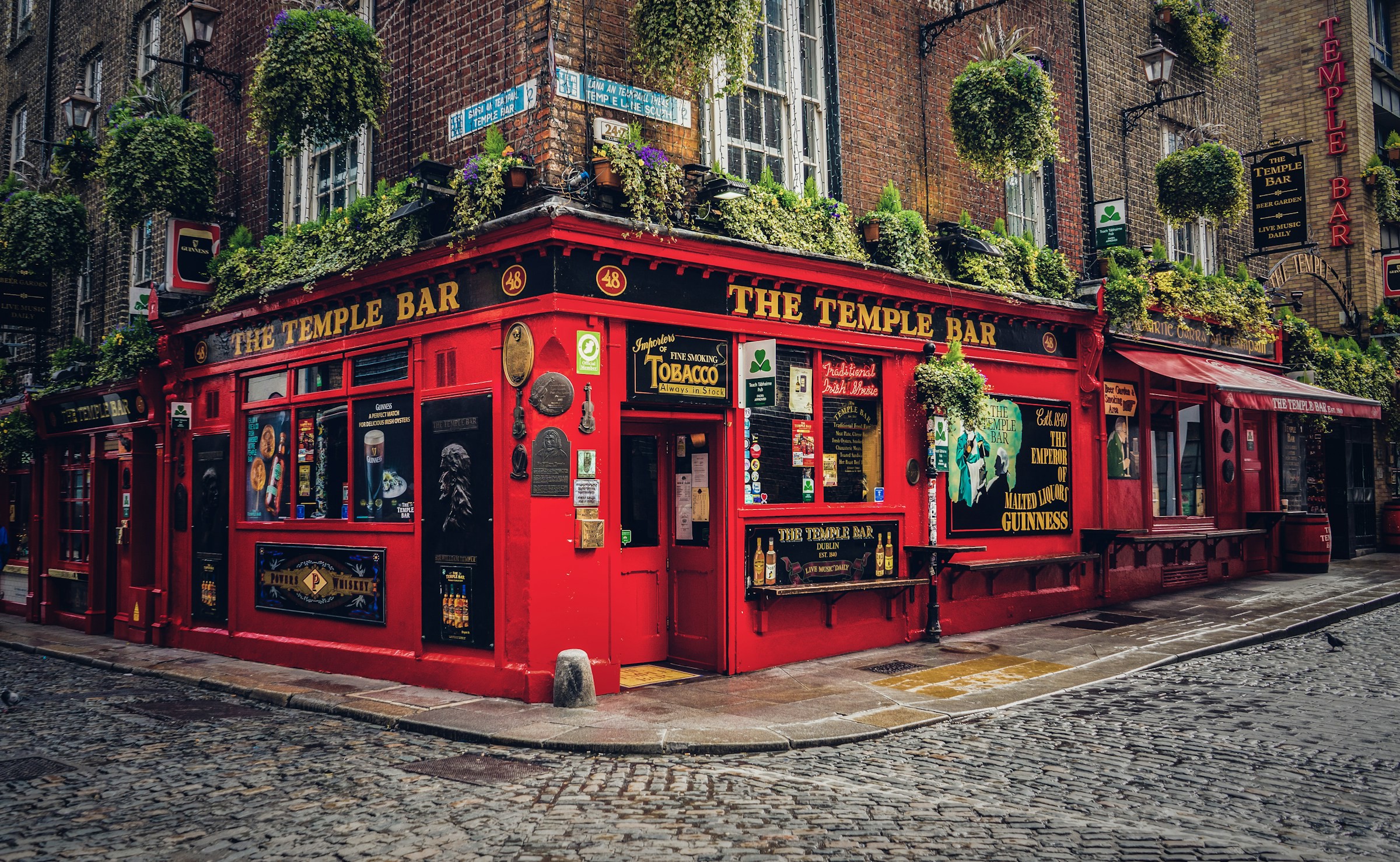 En klassisk irländsk bar med röda väggar och grönska på byggnadens vägger vid en korsning på en gata i Dublin