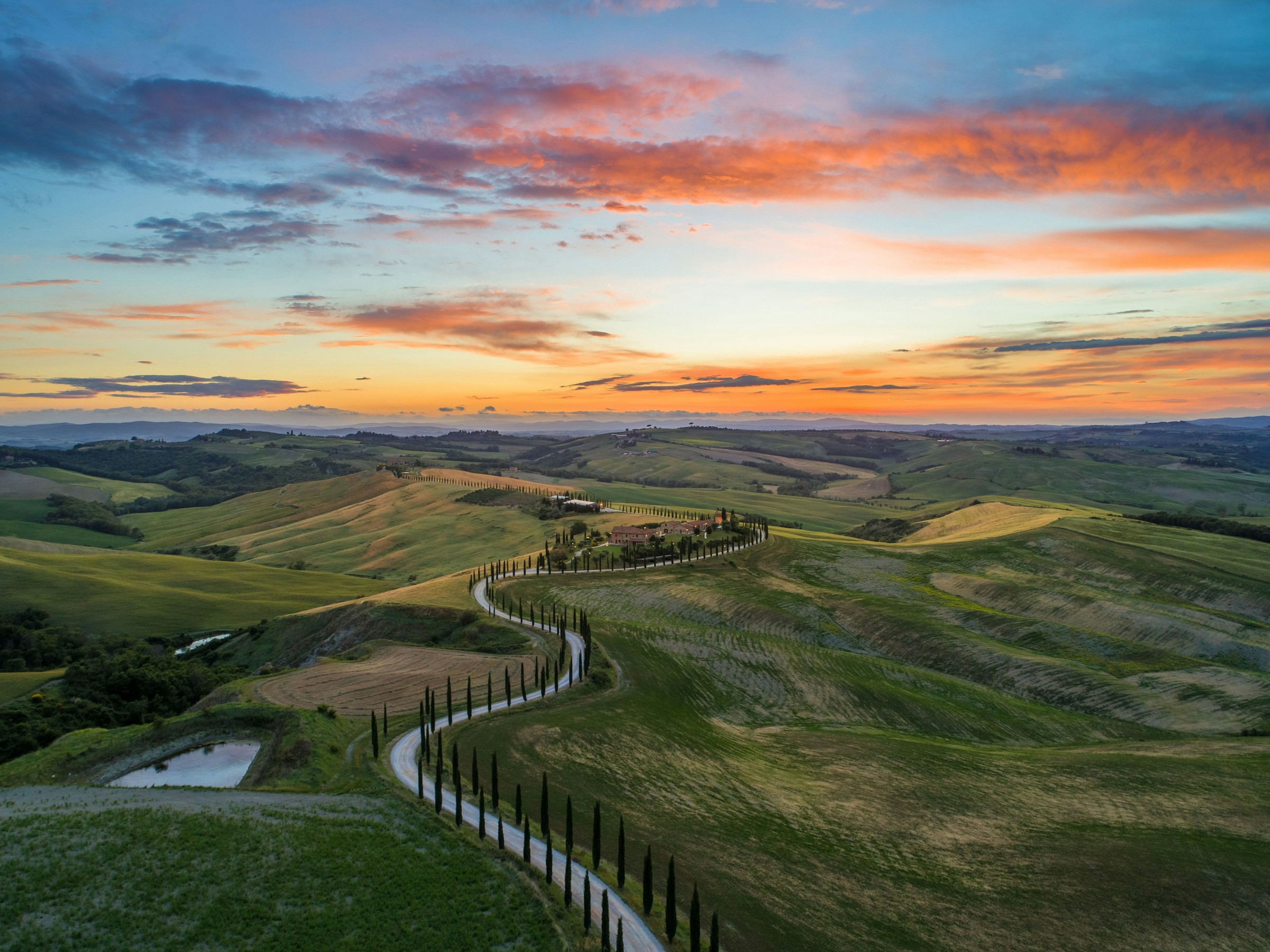 Böljande gröna kullar vid solnedgången med en slingrande väg och cypresser i Italien.