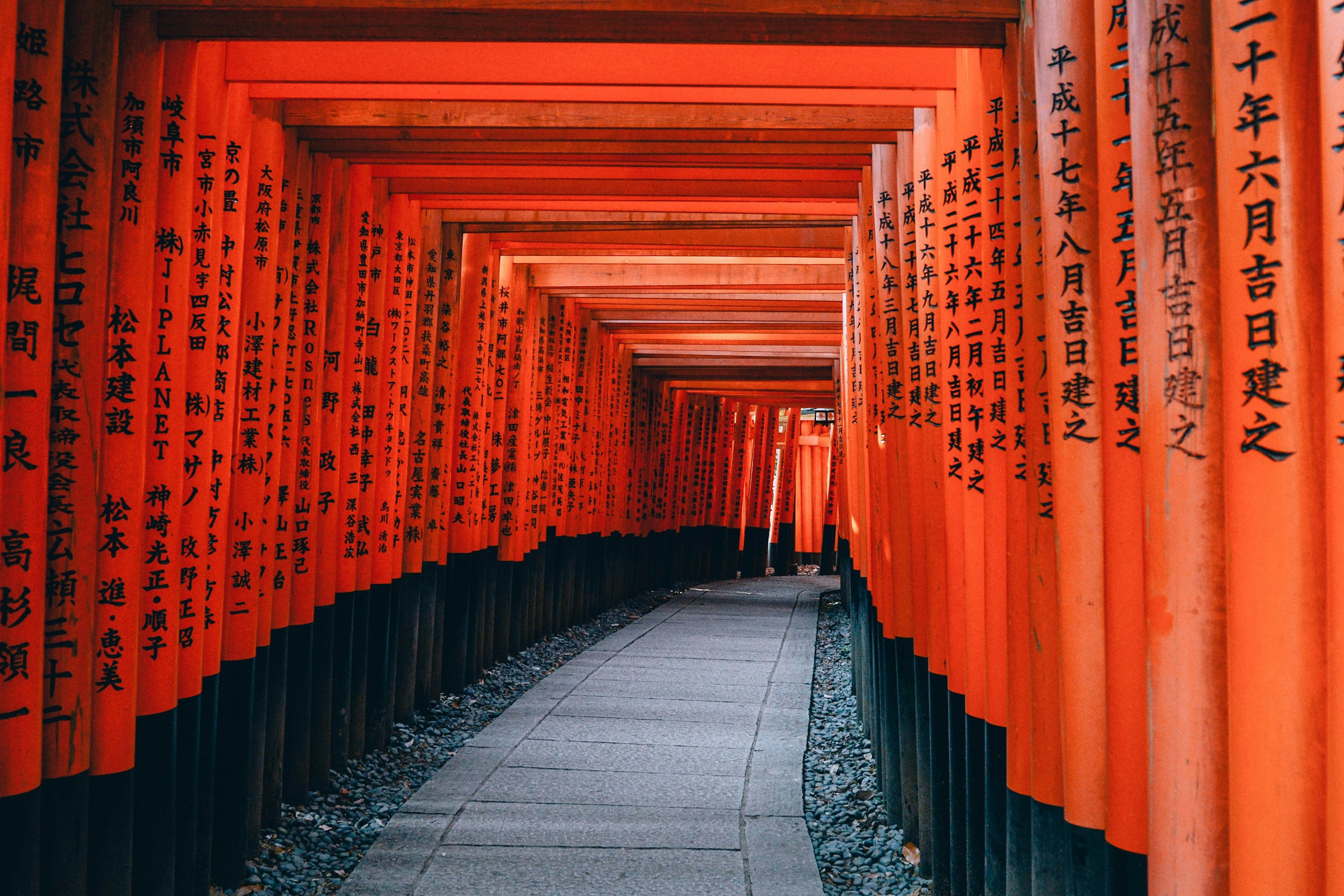 Kände Tori-helgedomen i Kyoto - orangea trädstockar med japanska tecken leder en väg framåt