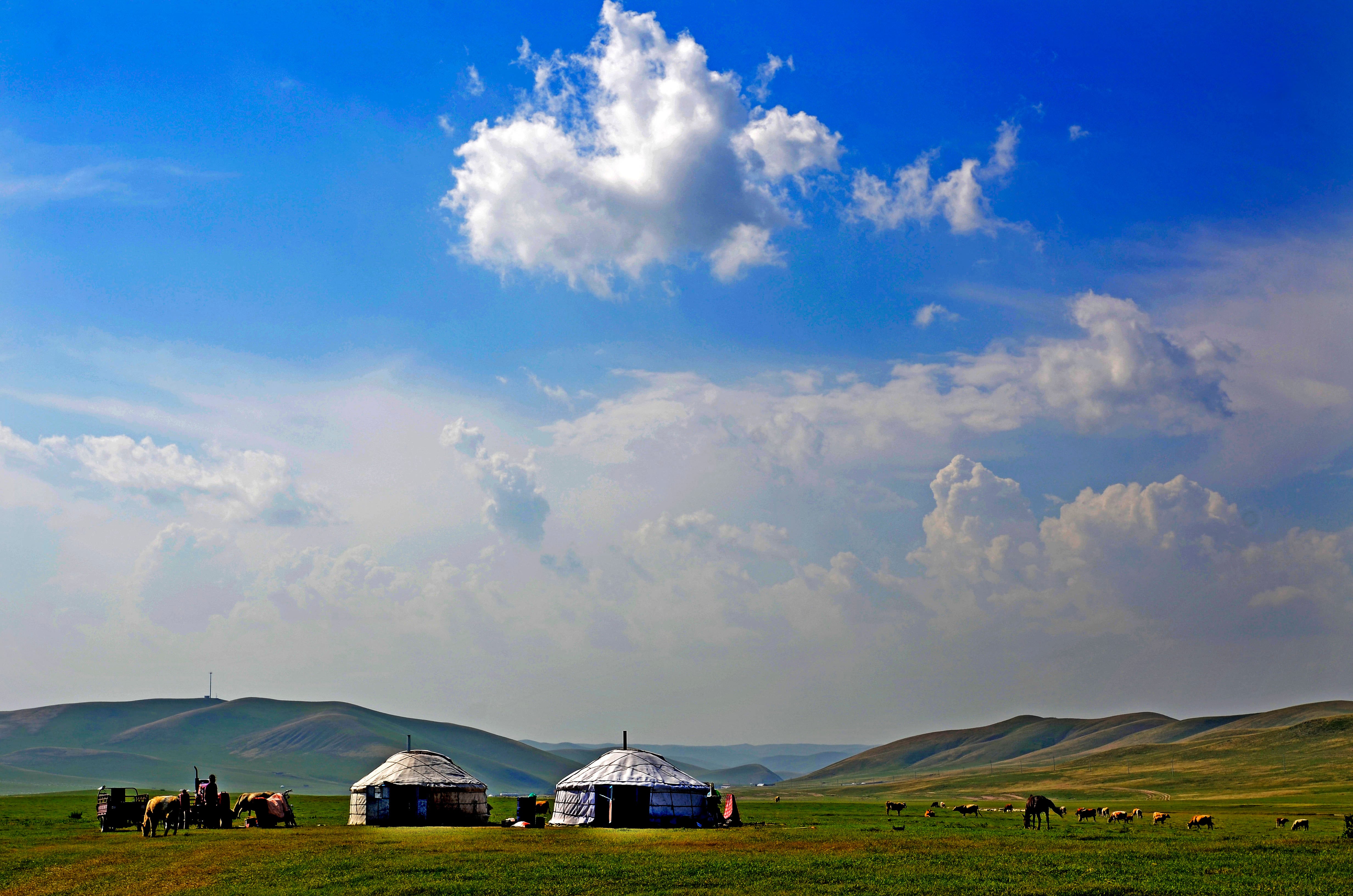 Travel to Mongolia - Panoramic view of green plain with huts and mountains and blue sky in the background