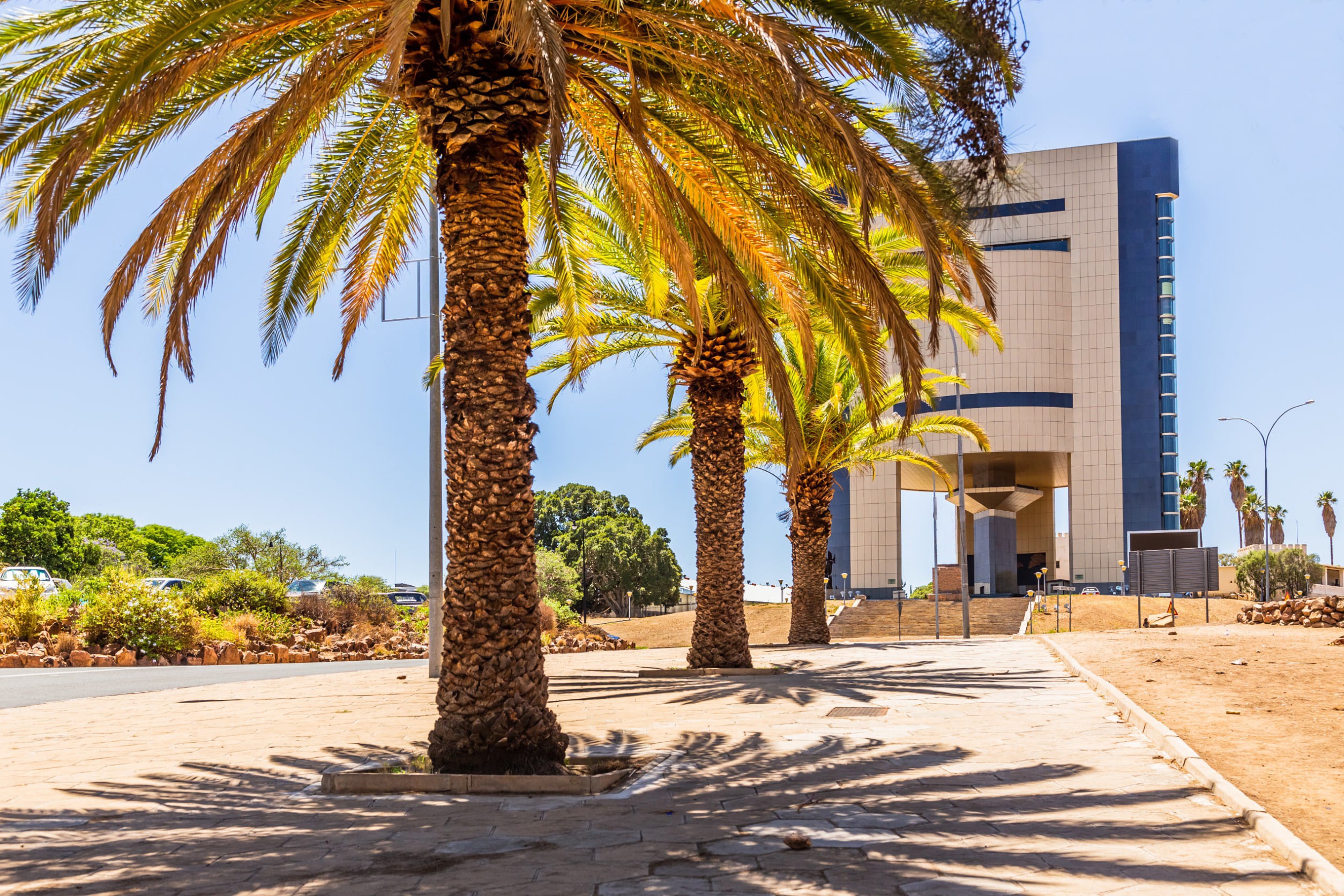 Walkway among palm trees up to building in Windhoek with sun and blue sky in the background