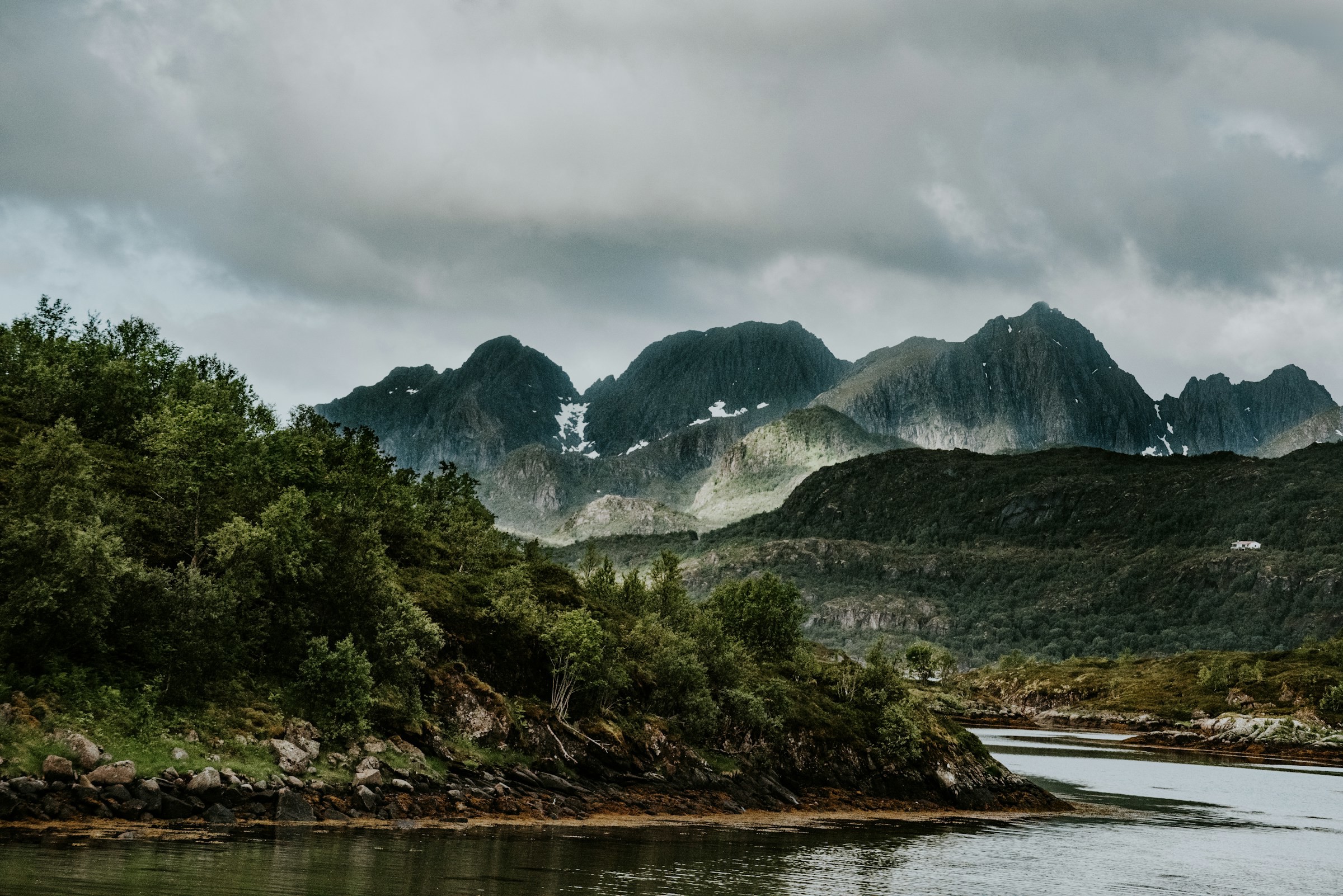 Vilmark och skog möter vatten i Lofoten med stora snötäckta berg i bakgrunden