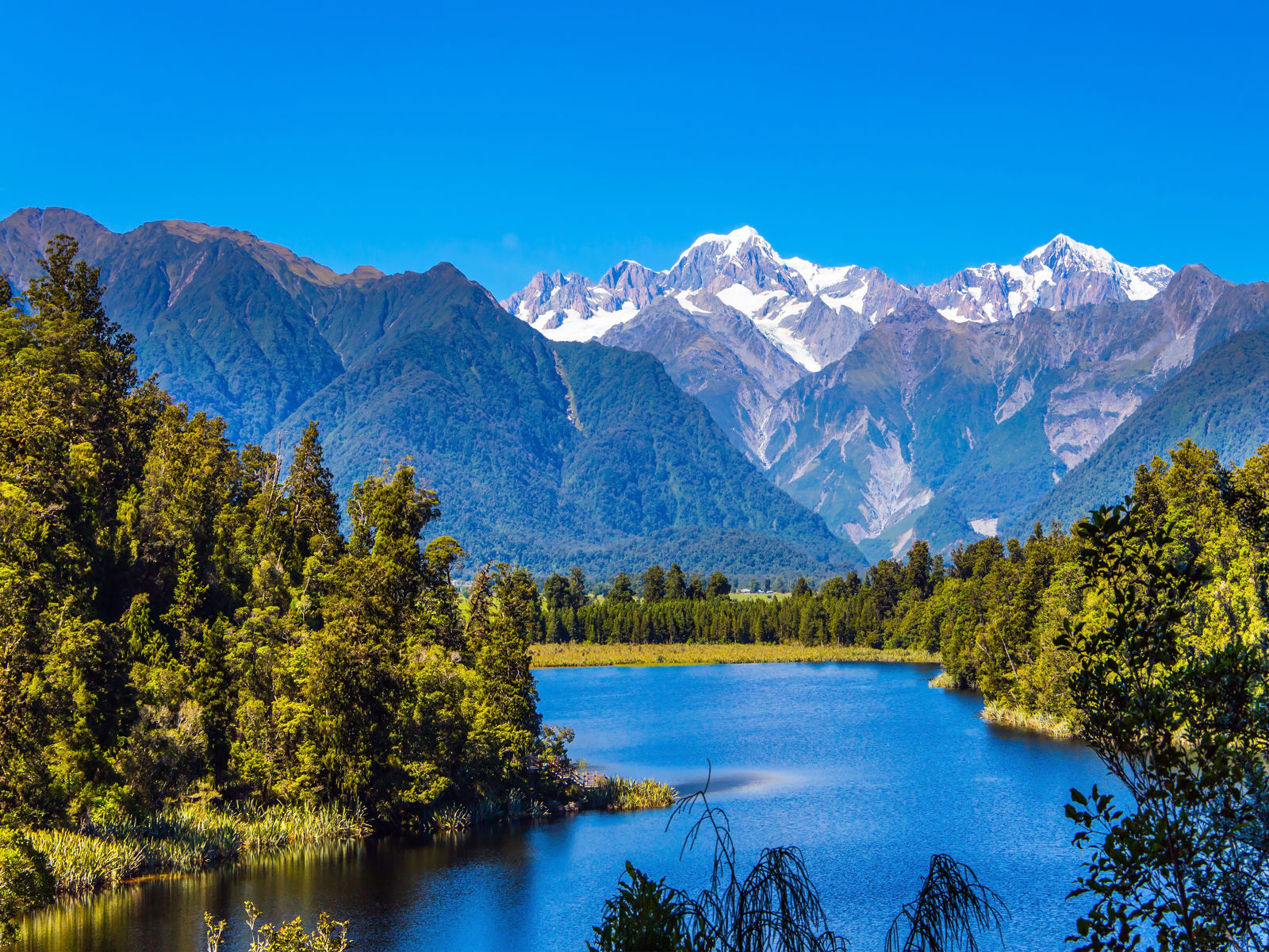 Resa till Nya Zeeland - flod genom skog i nya zeeland med vita bergstoppar i bakgrunden