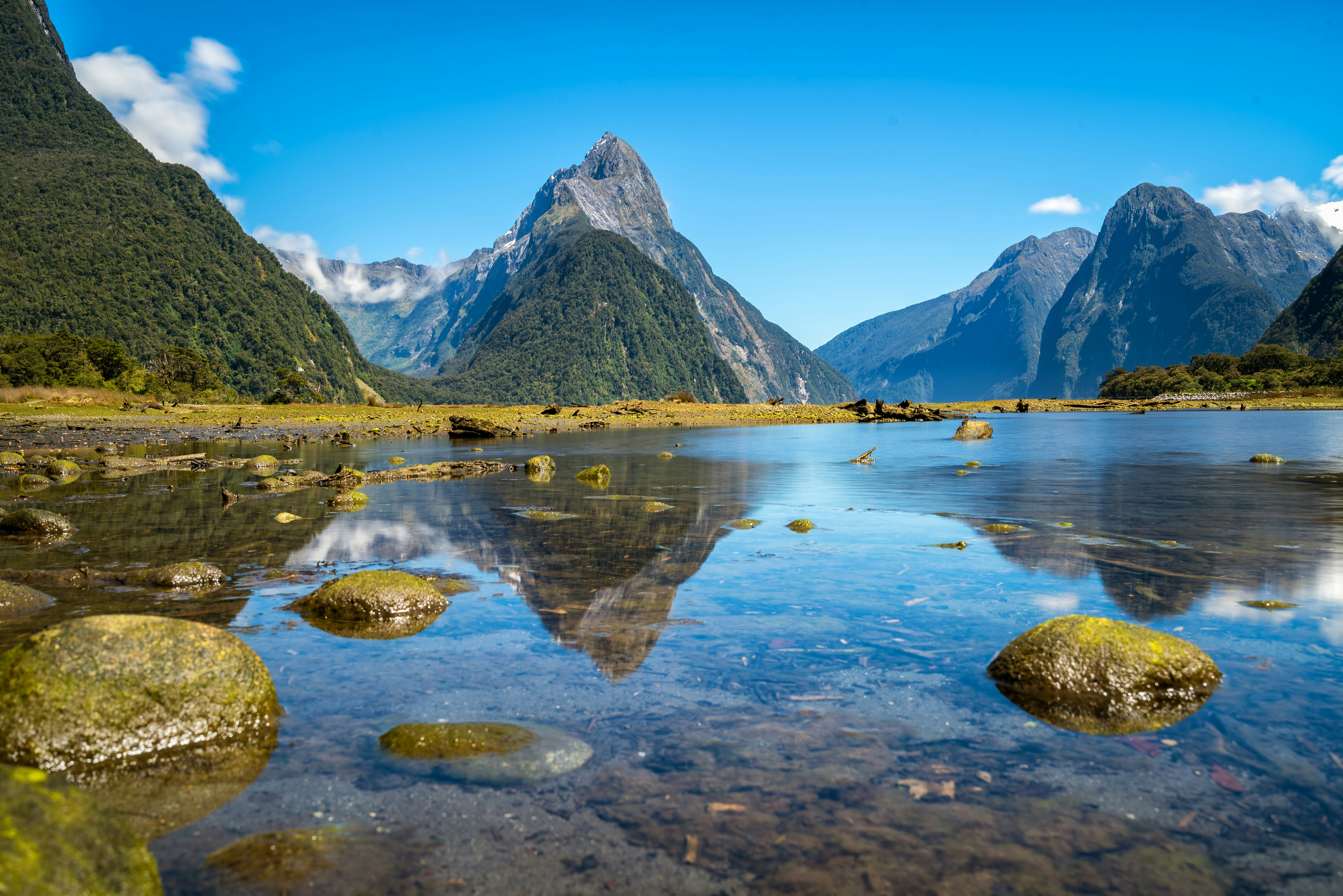 Lake in New Zealand with greenery all around and mountains in the background