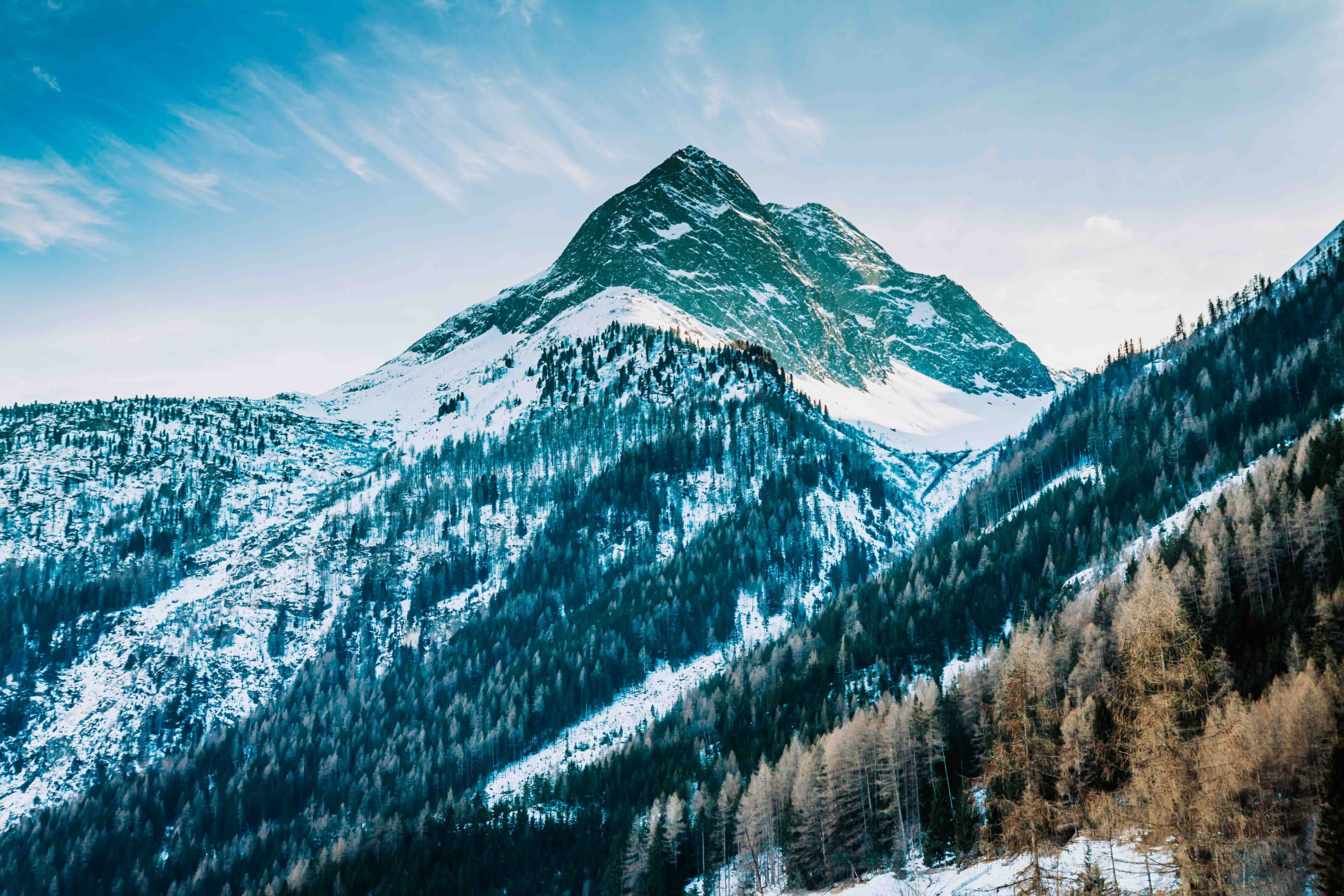 Resa till St. Anton - Snötäckt bergstopp med skogklädda sluttningar mot en klar blå himmel.