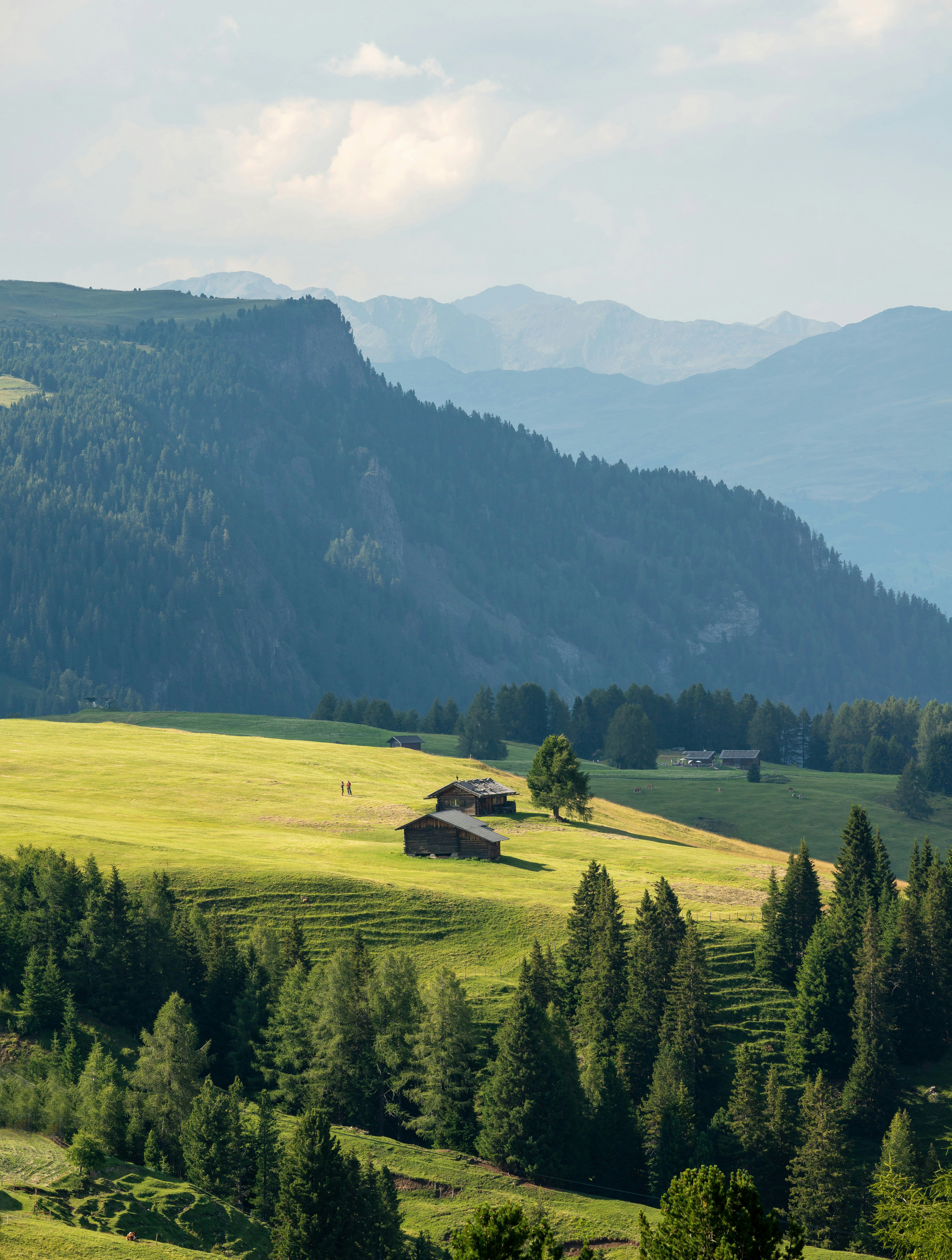 Idylliskt landskap med gröna ängar, tätt skogsområde och berg i bakgrunden under en lugn sommardag i Innsbruck.