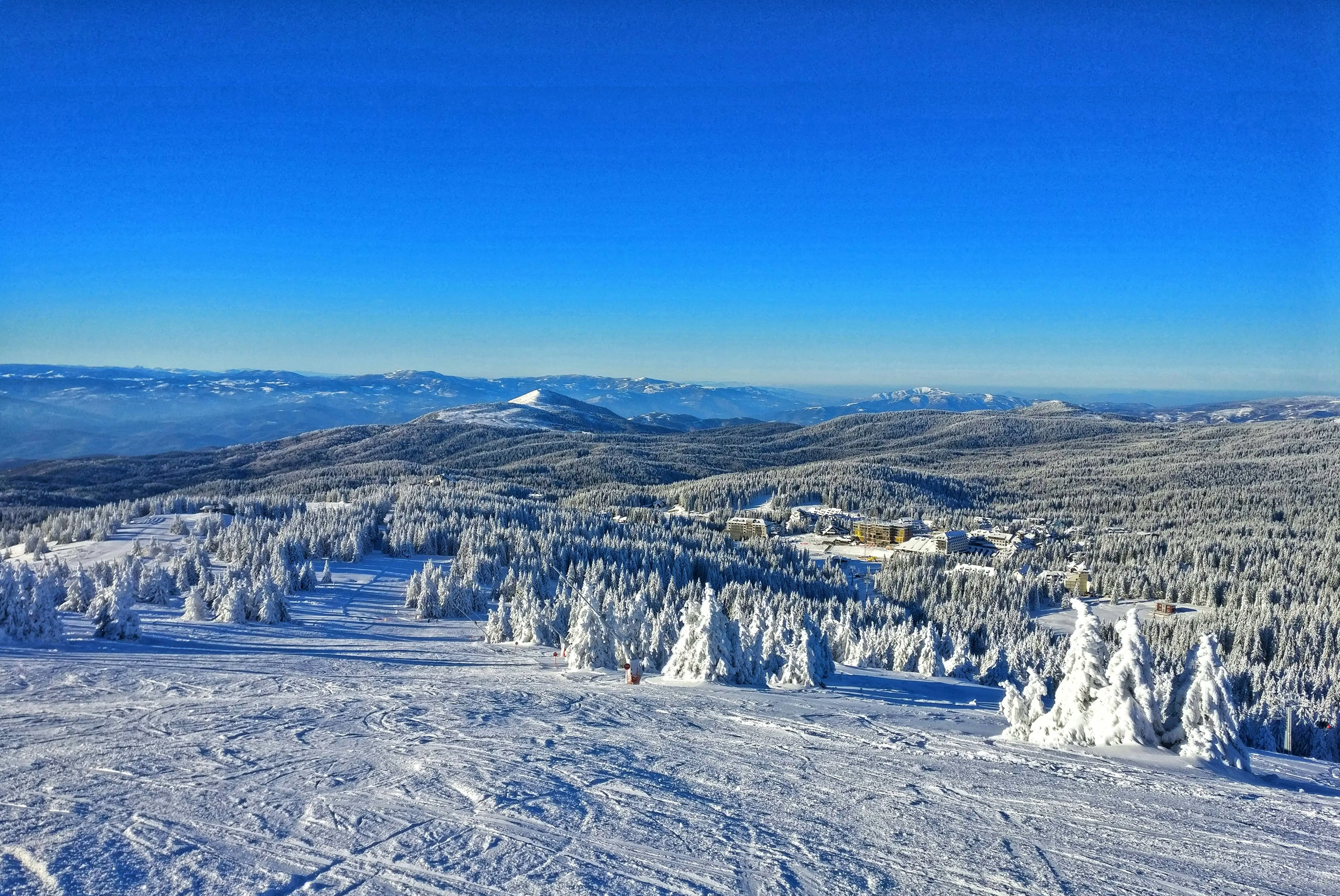 Resa till Kopaonik - Vy över skidbacke i Kopaonik täckt av vit snö med berg, träd och blå himmel i slutet av backen