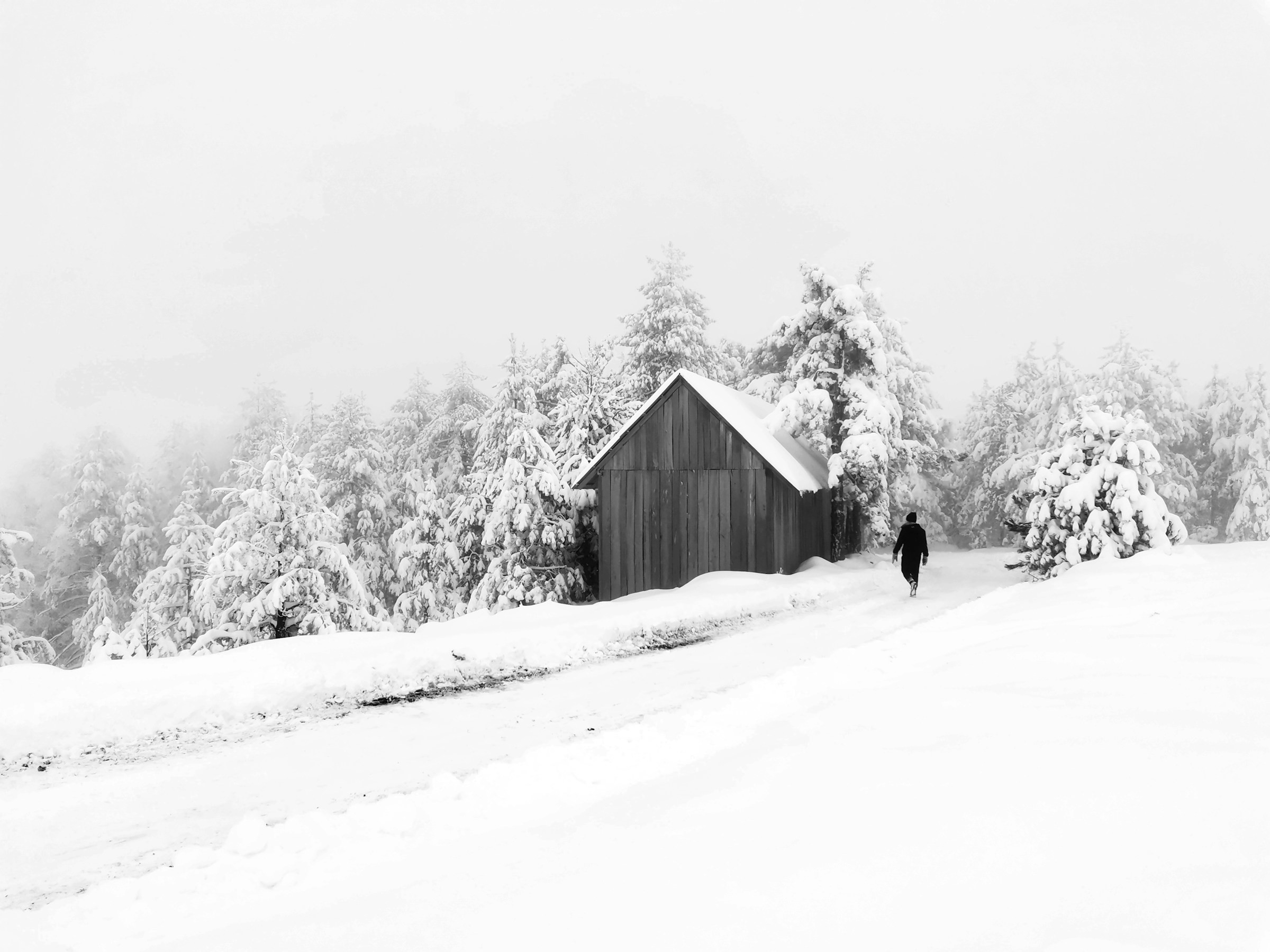 Snow-covered landscape with a house, trees and a lonely man walking on a road in Kopaonik