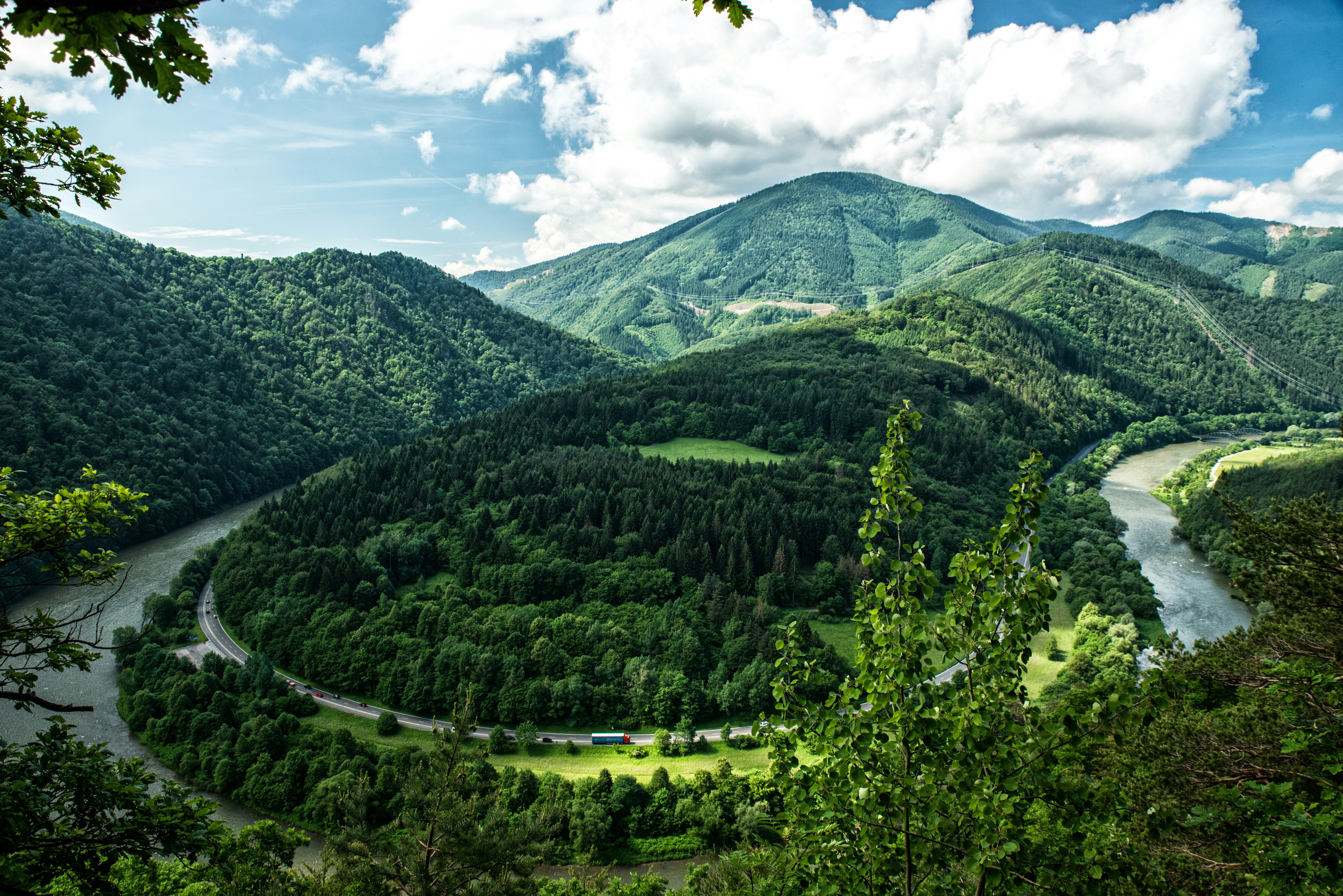 Panoramavy över vacker grönskande skog och natur i Slovakien med berg och himmel med vita moln i bakgrunden