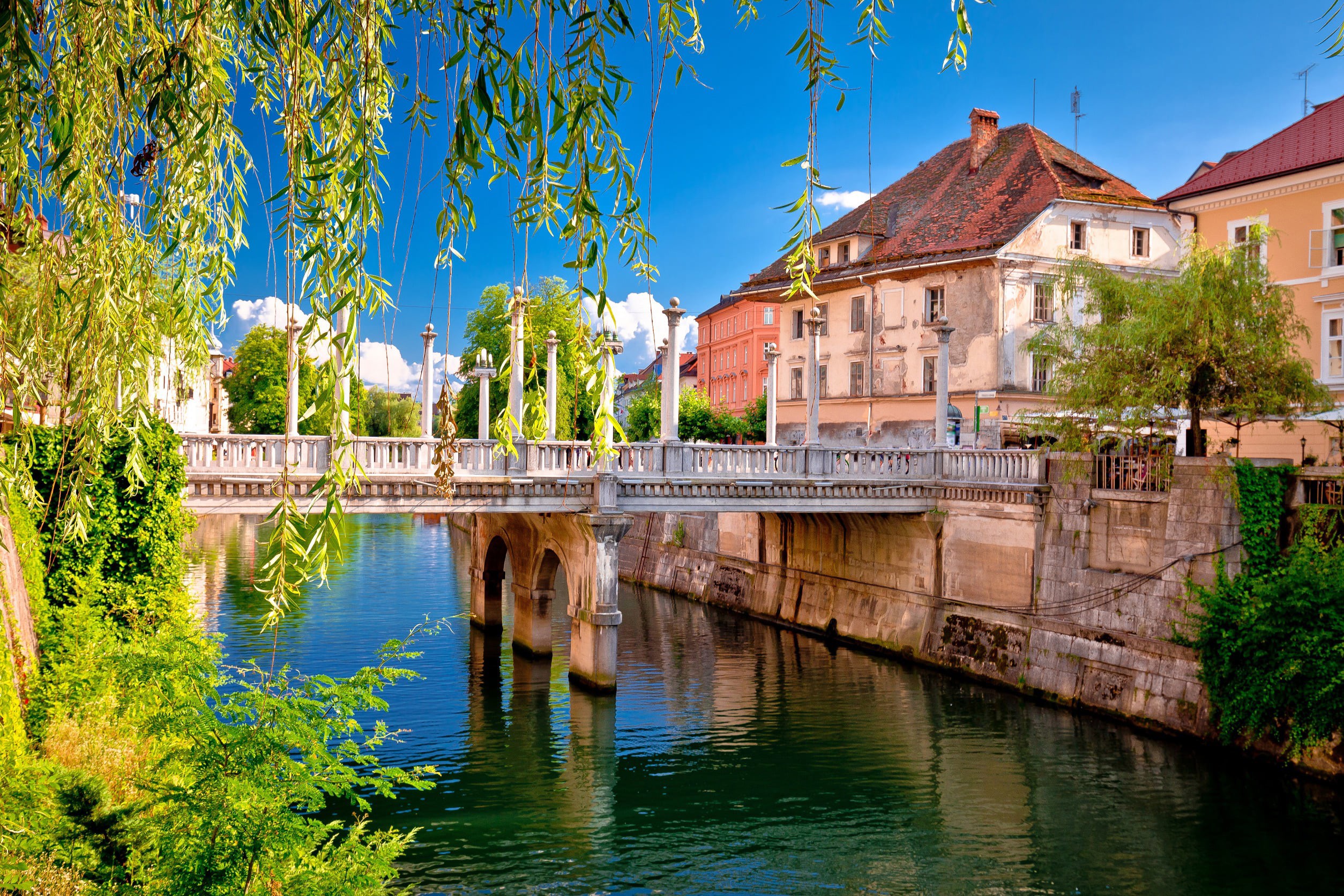 Green tree hanging over a beautiful river leading under a bridge towards beautiful buildings and blue sky