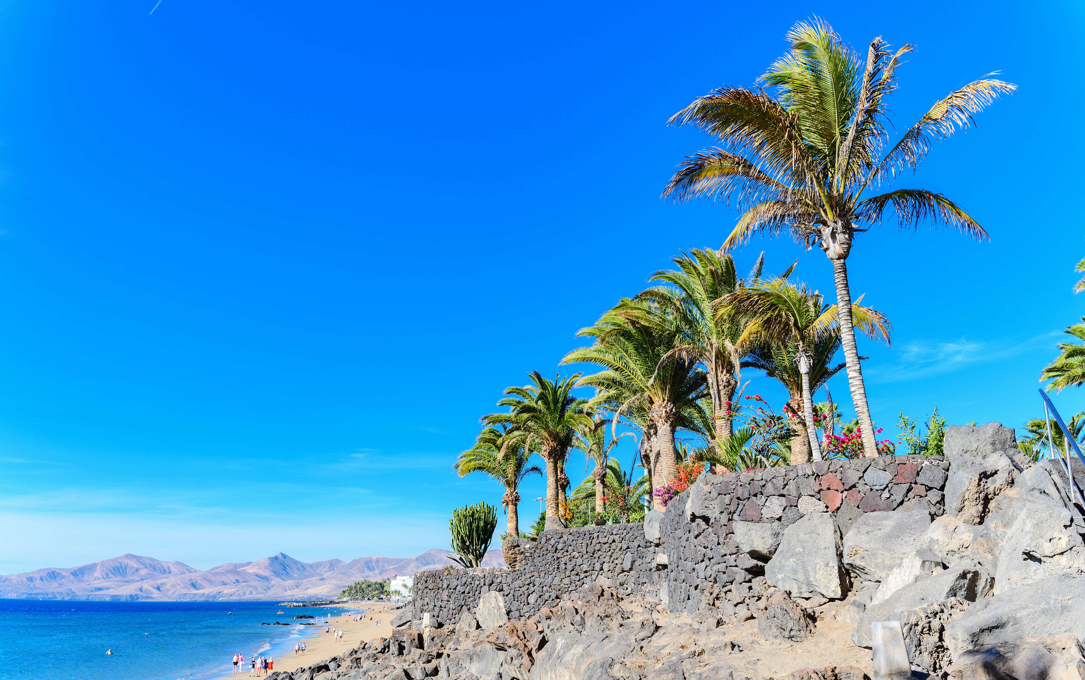 Resa till Lanzarote - Palmträd längs en solig strandpromenad med bergslandskap i bakgrunden och klart blå himmel.