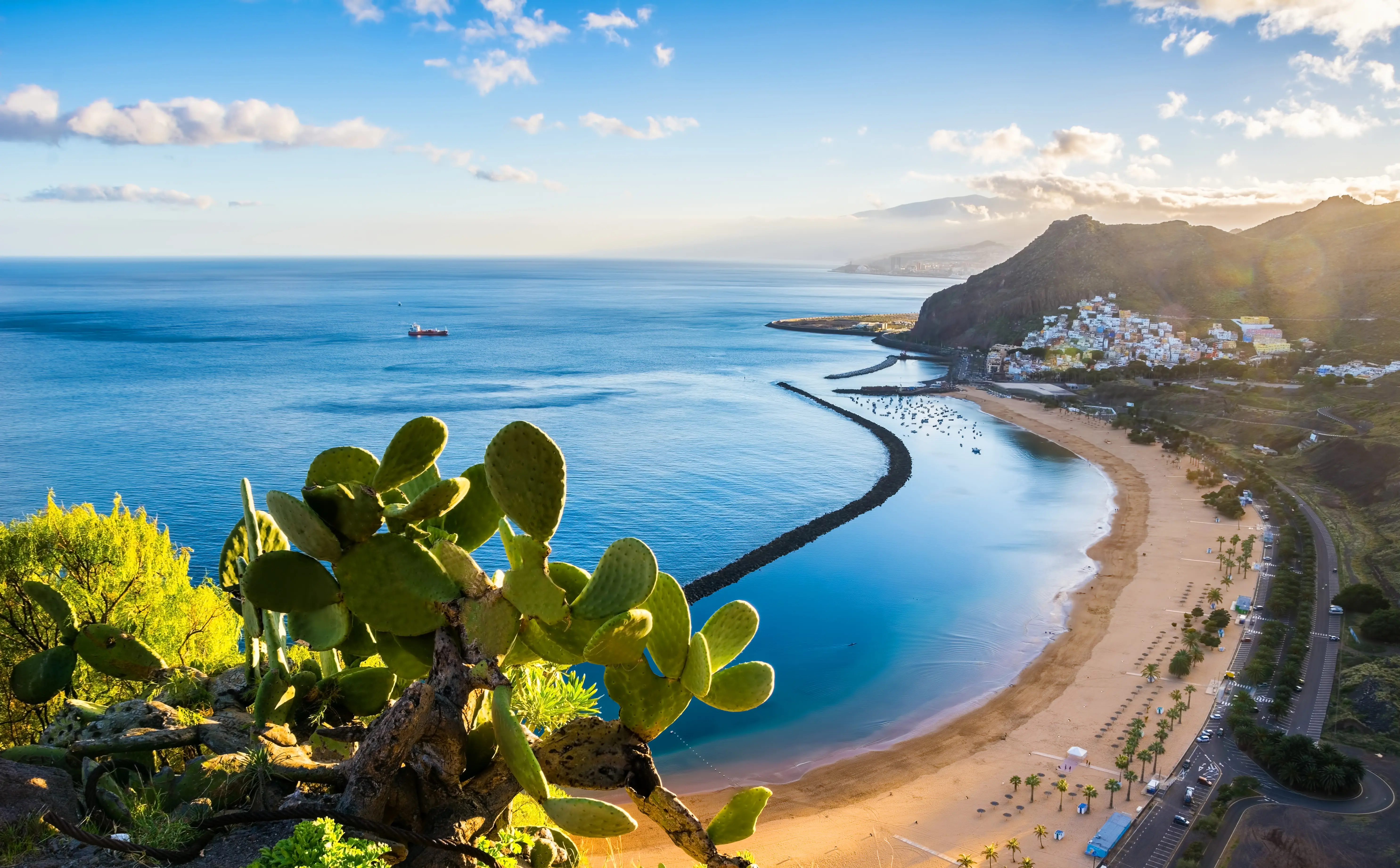 Resa till Teneriffa - Panoramautsikt över en pittoresk strand med bukt, bryggor, kaktusväxter i förgrunden och en stad vid kusten vid solnedgången.