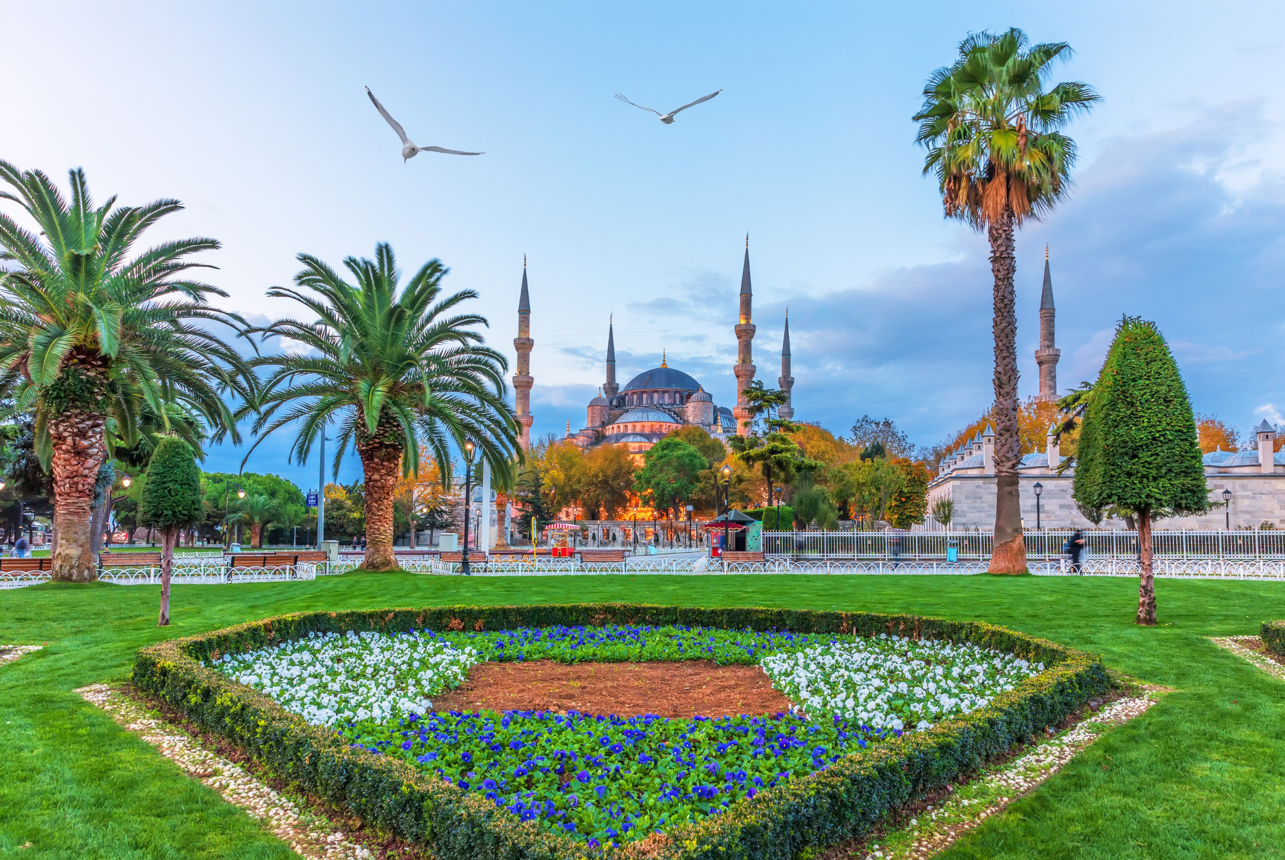 Panoramautsikt genom en vacker grön trädgård på den den historiska Suleymaniye-moskén i Istanbul