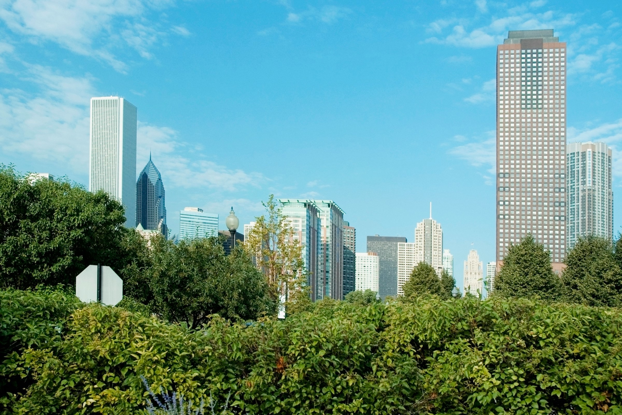 Grönskande träd med skyskrapor från Chicago stad i bakgrunden och blå himmel