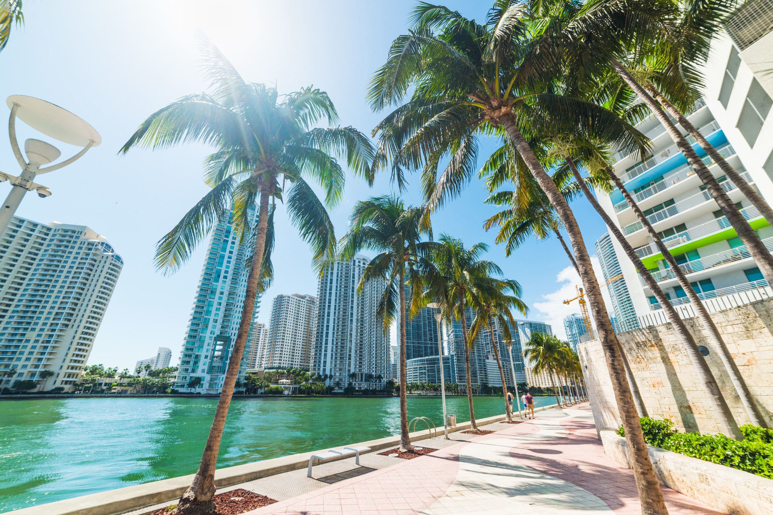 Gångväg längs en flod med palmträd och skyskrapor i bakgrunden i Miami, Florida