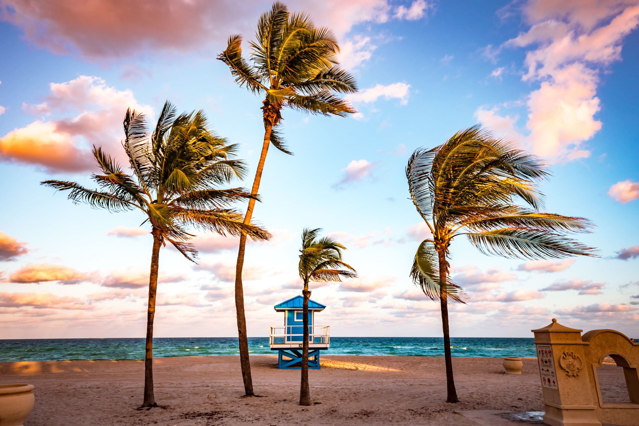 palmträdstoppar med blå himmel och vita moln i Florida, USA