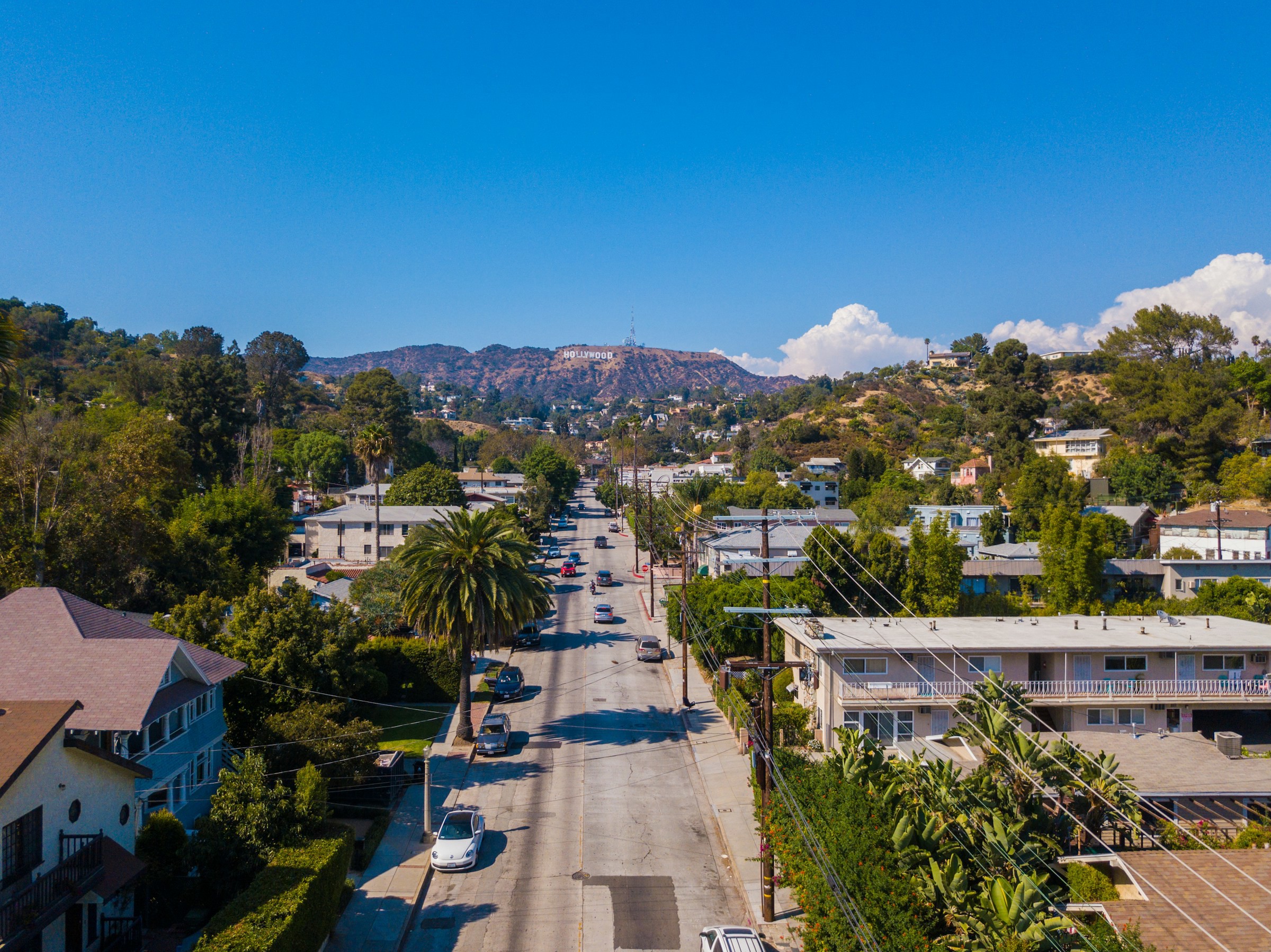 Bilväg går mellan bostadsområde med palmer i Los Angeles och leder upp mot en kulle och Hollywood-skylten