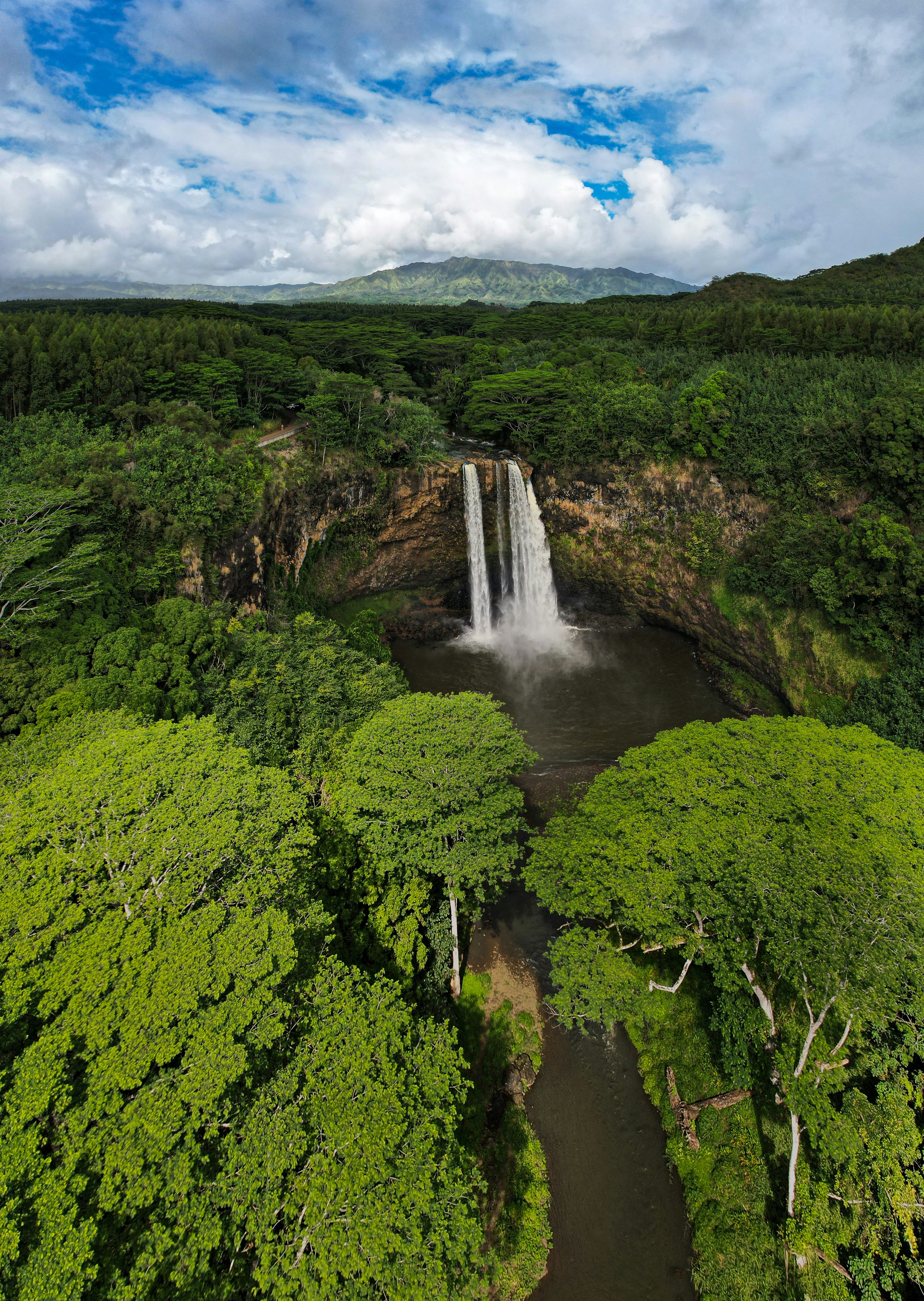 Vattenfall i djungeln med grönska runtomkring på Hawaii